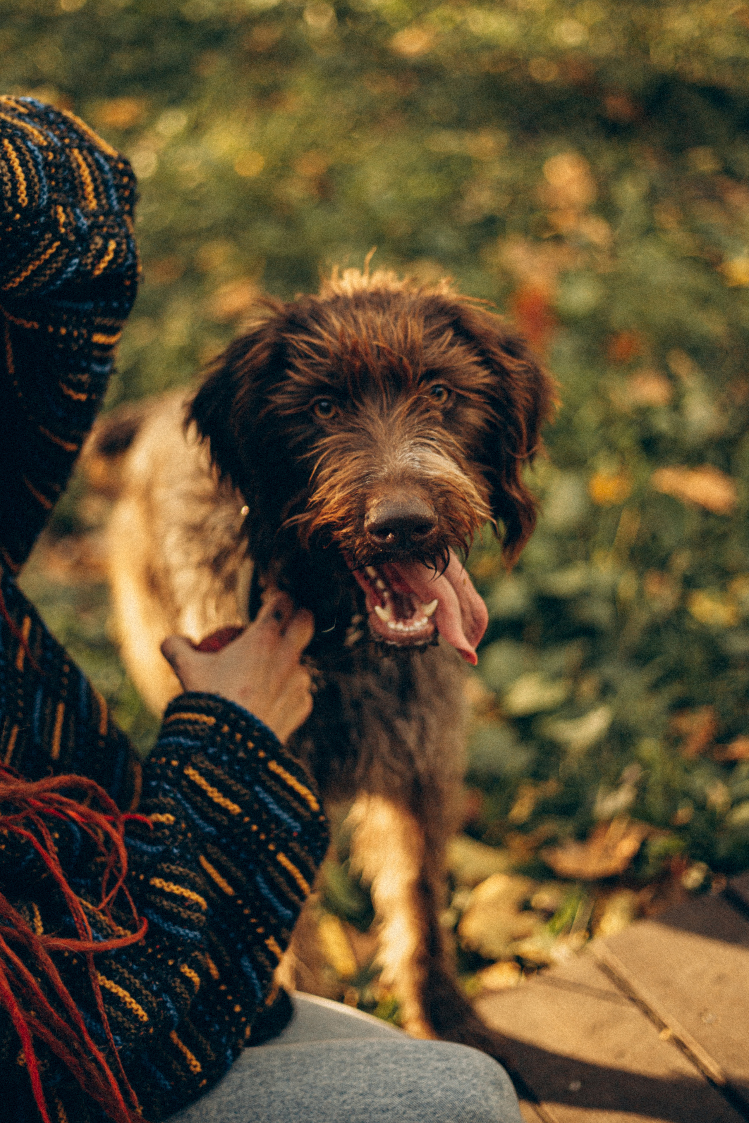 .дима & ким и молда