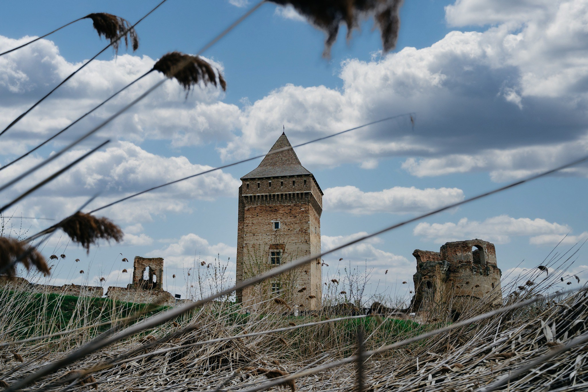 Landscape photography. Wedding photography