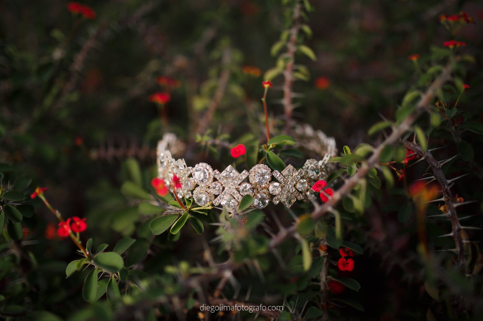 Beatriz & Wenderson. Diego Lima Fotógrafo e Videomaker em Rondônia