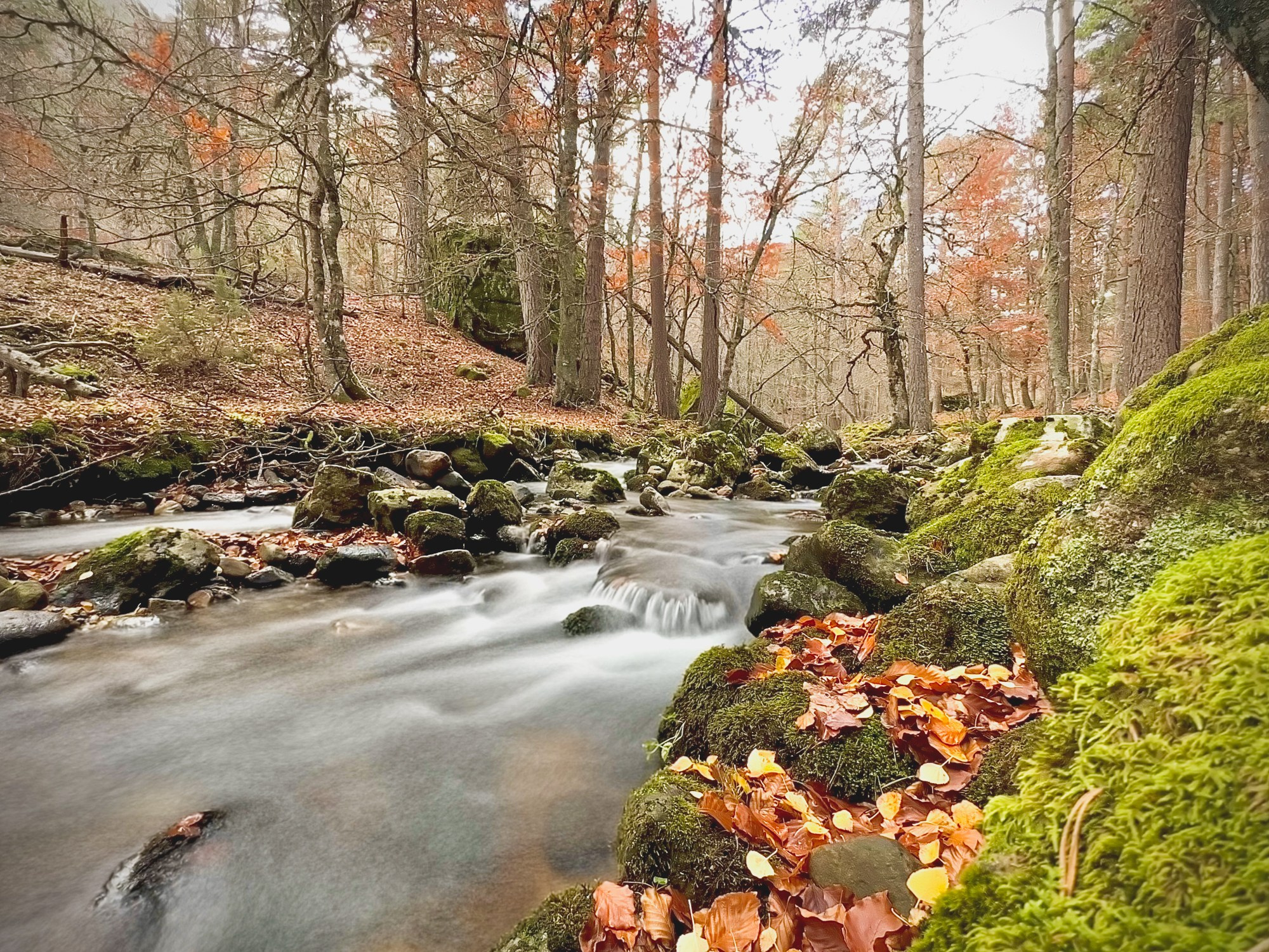 Peisaj /natura. Daniel Criste Fotograf