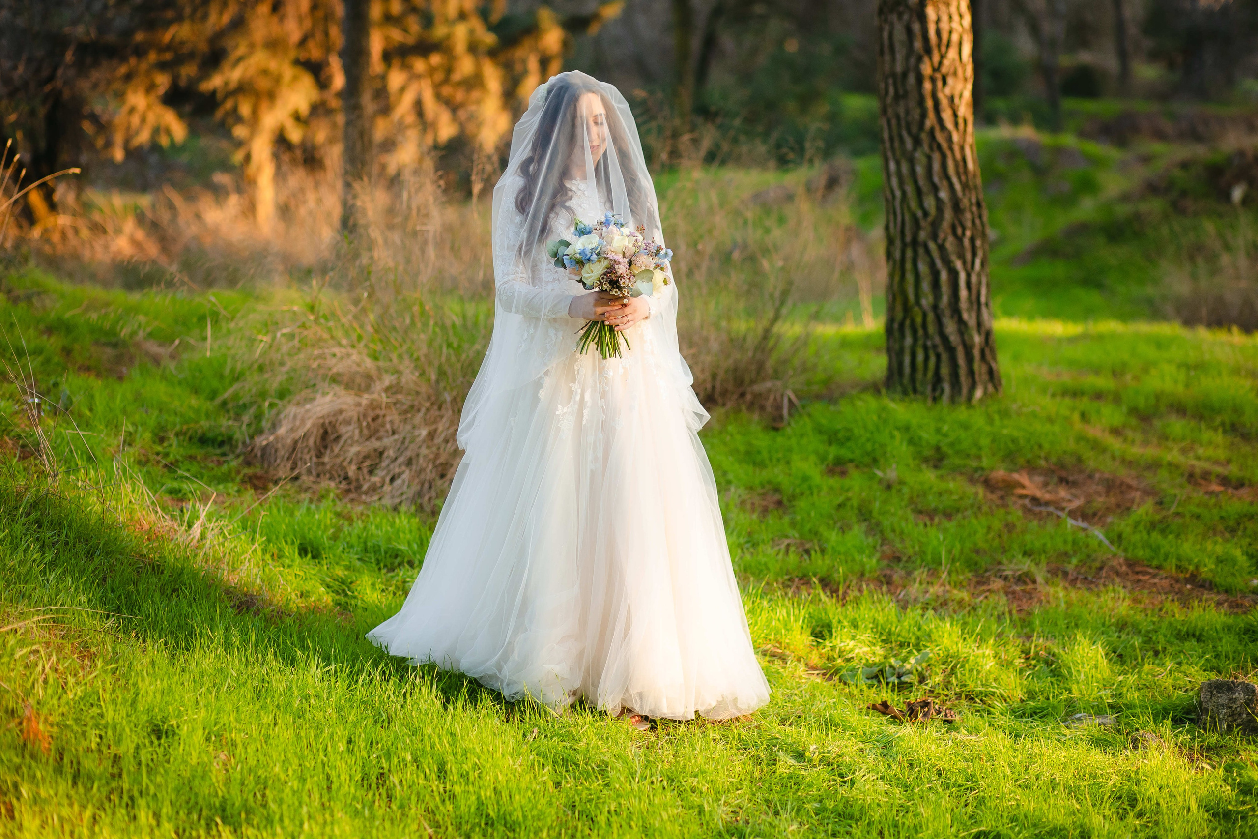 A Day to Remember. Https://shi-photo.com/