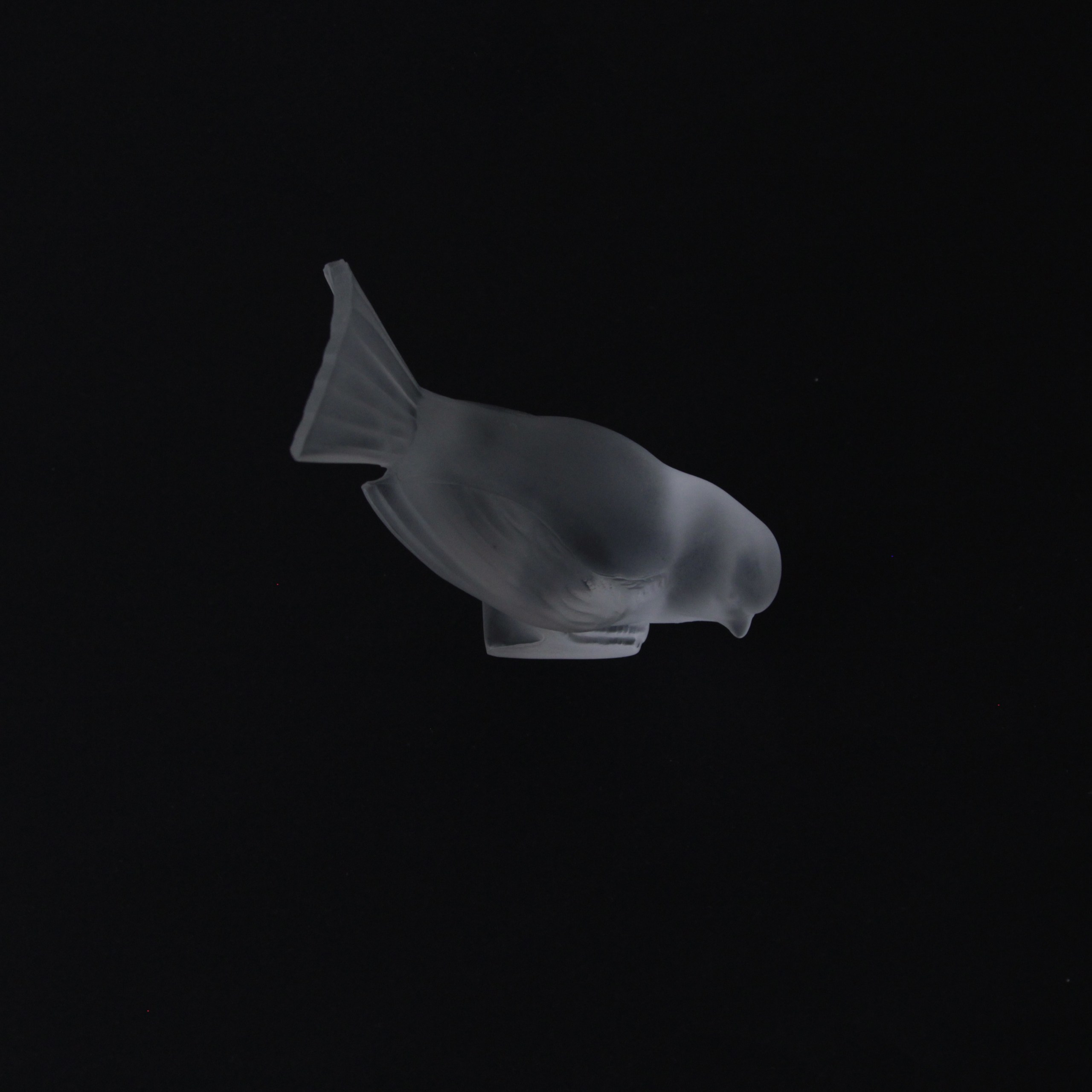 Bird. Современнные и актикварные украшения в Барселоне, Москве и Санкт-Петербурге