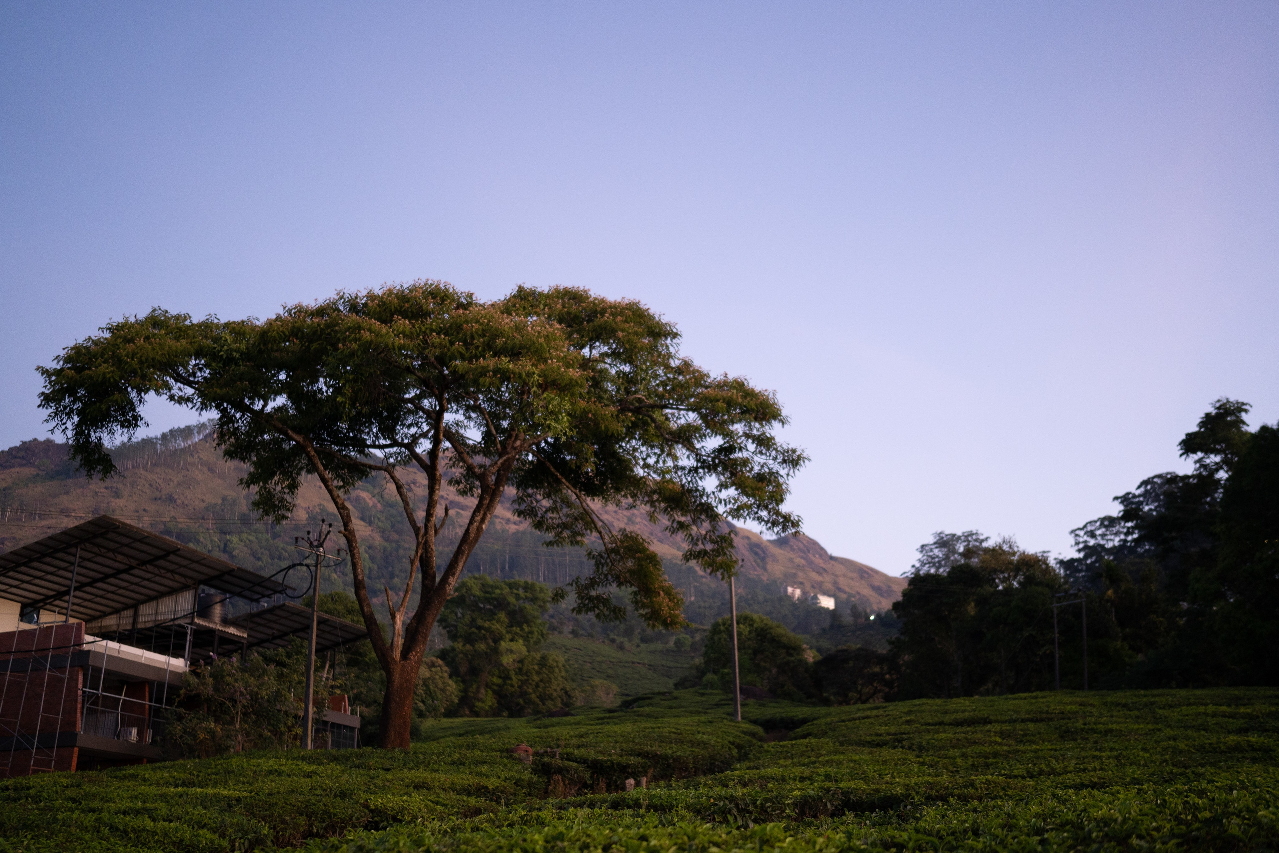 Greeshma & Vignesh. Agam Vizha