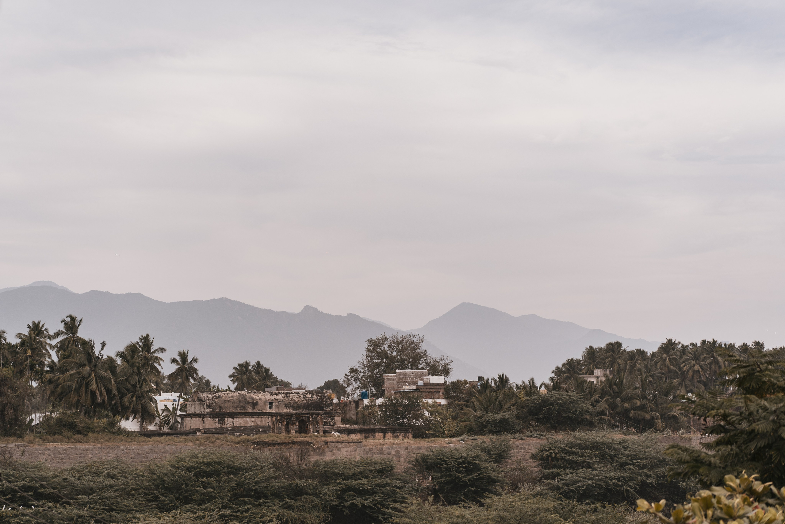 Vignesh & Surya. Agam Vizha
