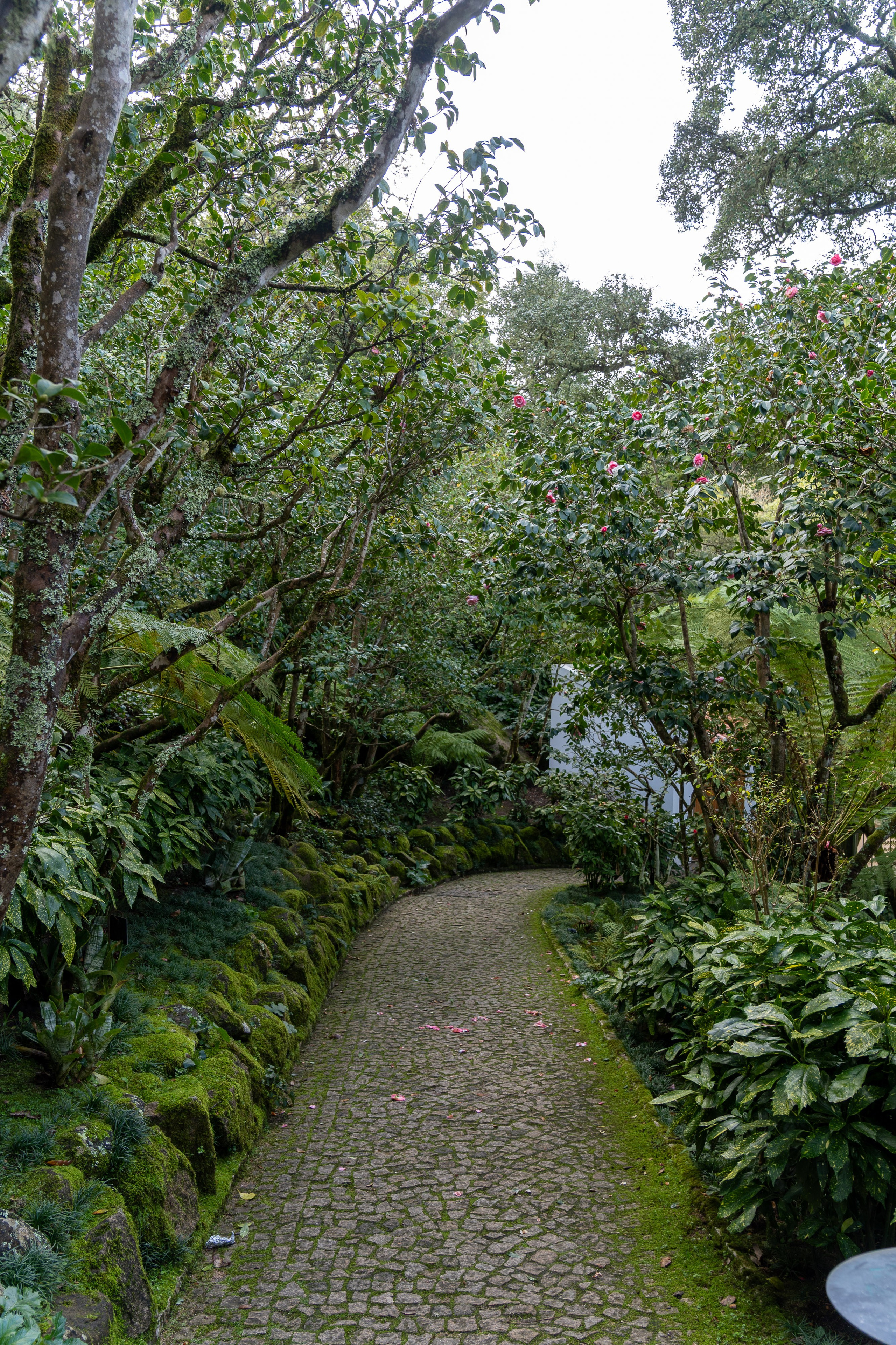 Lisabona 2025. Fotografiideplacere.net