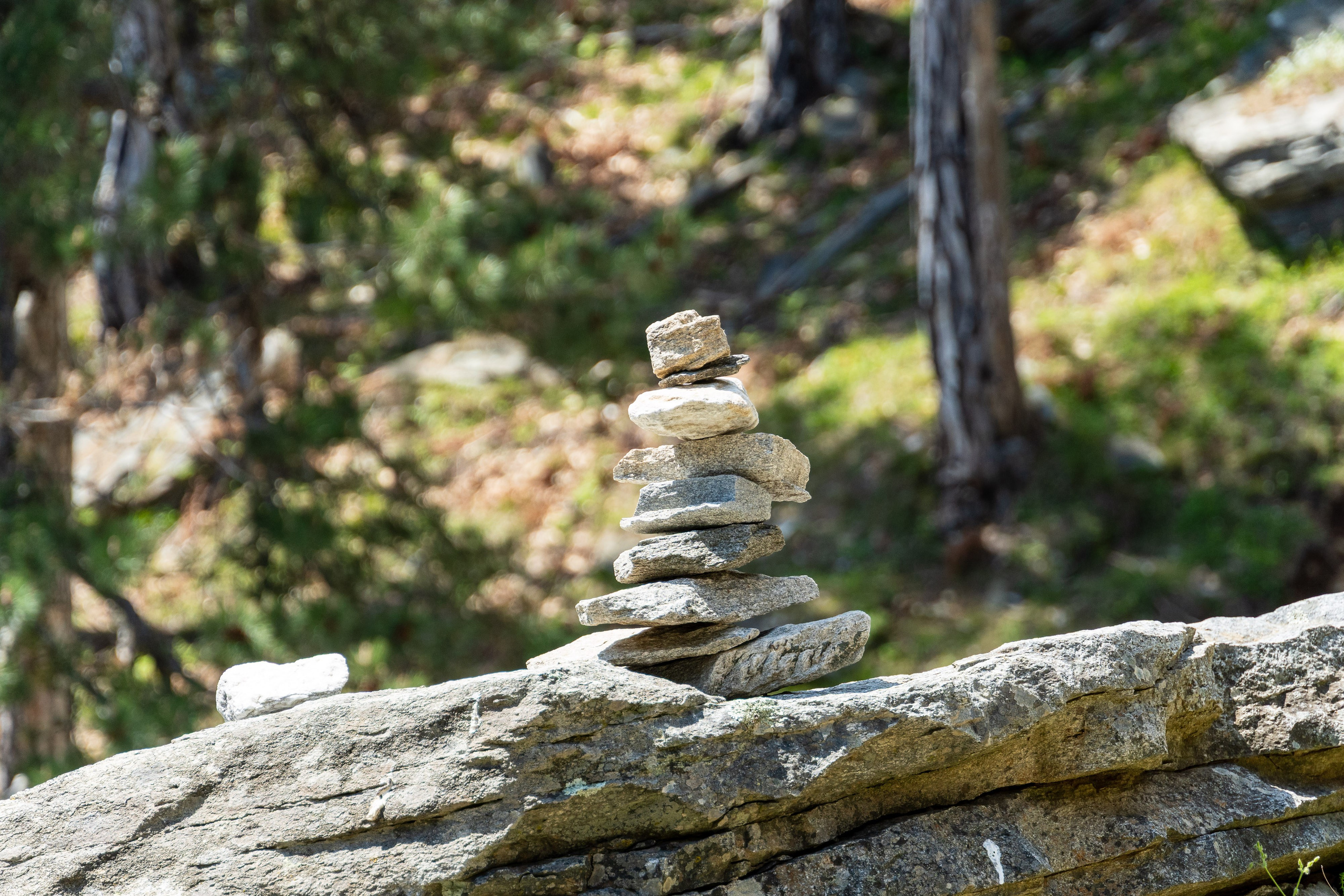 Thasos 2025. Fotografiideplacere.net