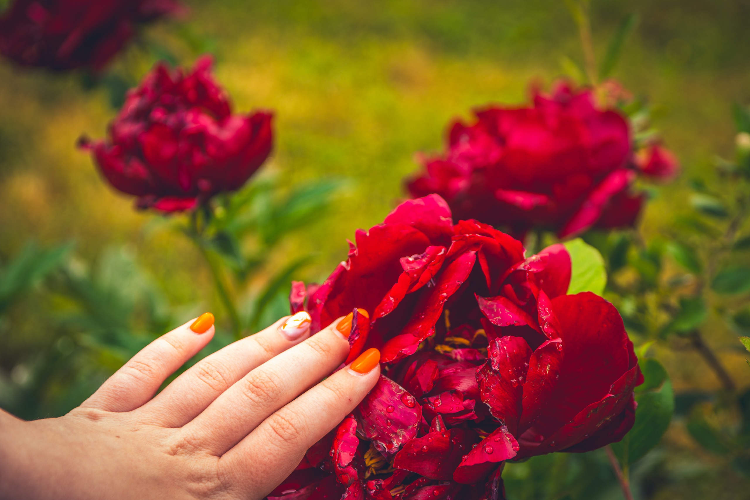 Saarema, reis. Nebula 25 — Fotod teie hingele