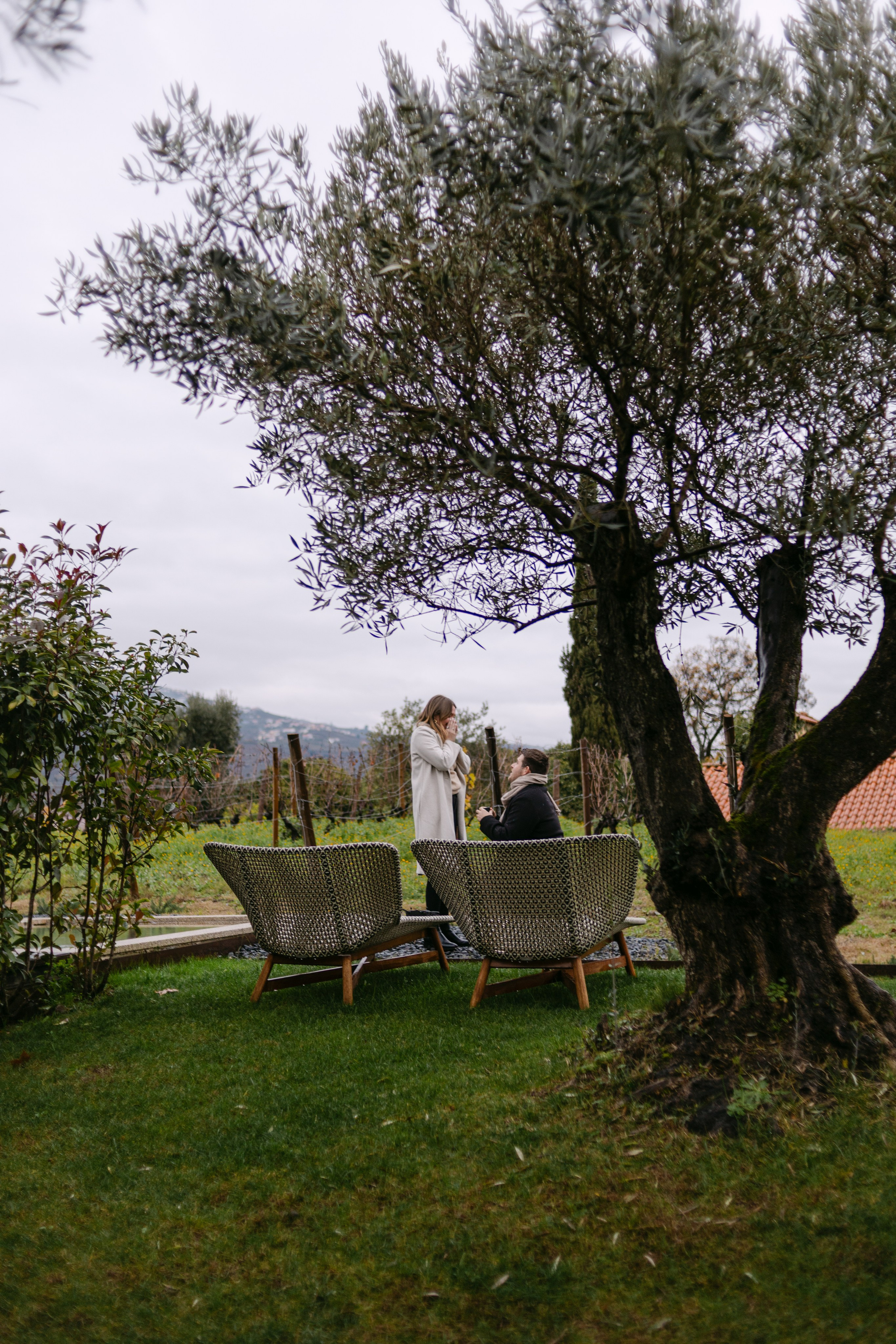 Proposal Sandro — Quinta Pacheca. Wedding and couple photographer in Porto