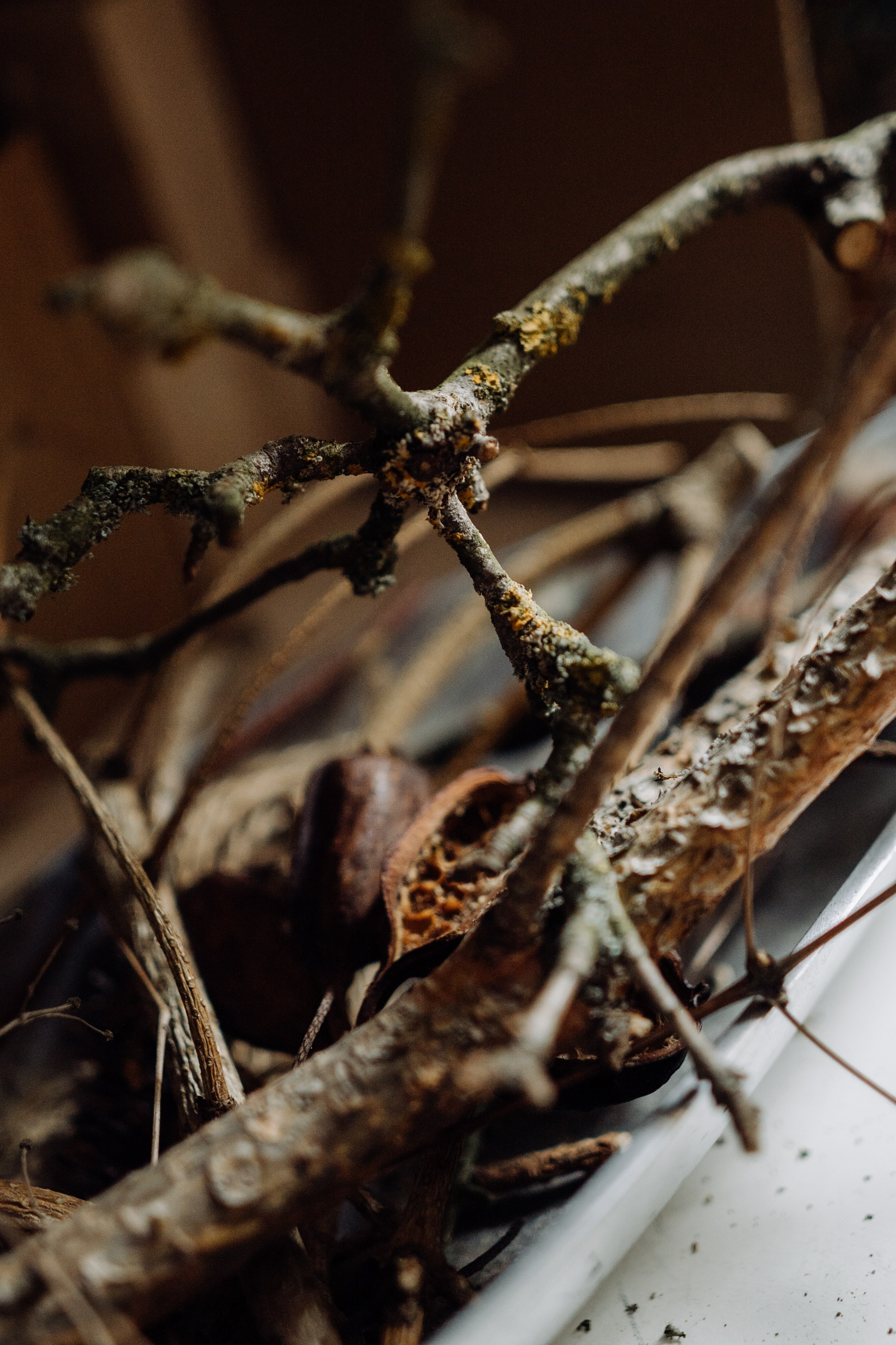 Elena. Фотограф в Праге Анна Лебедева