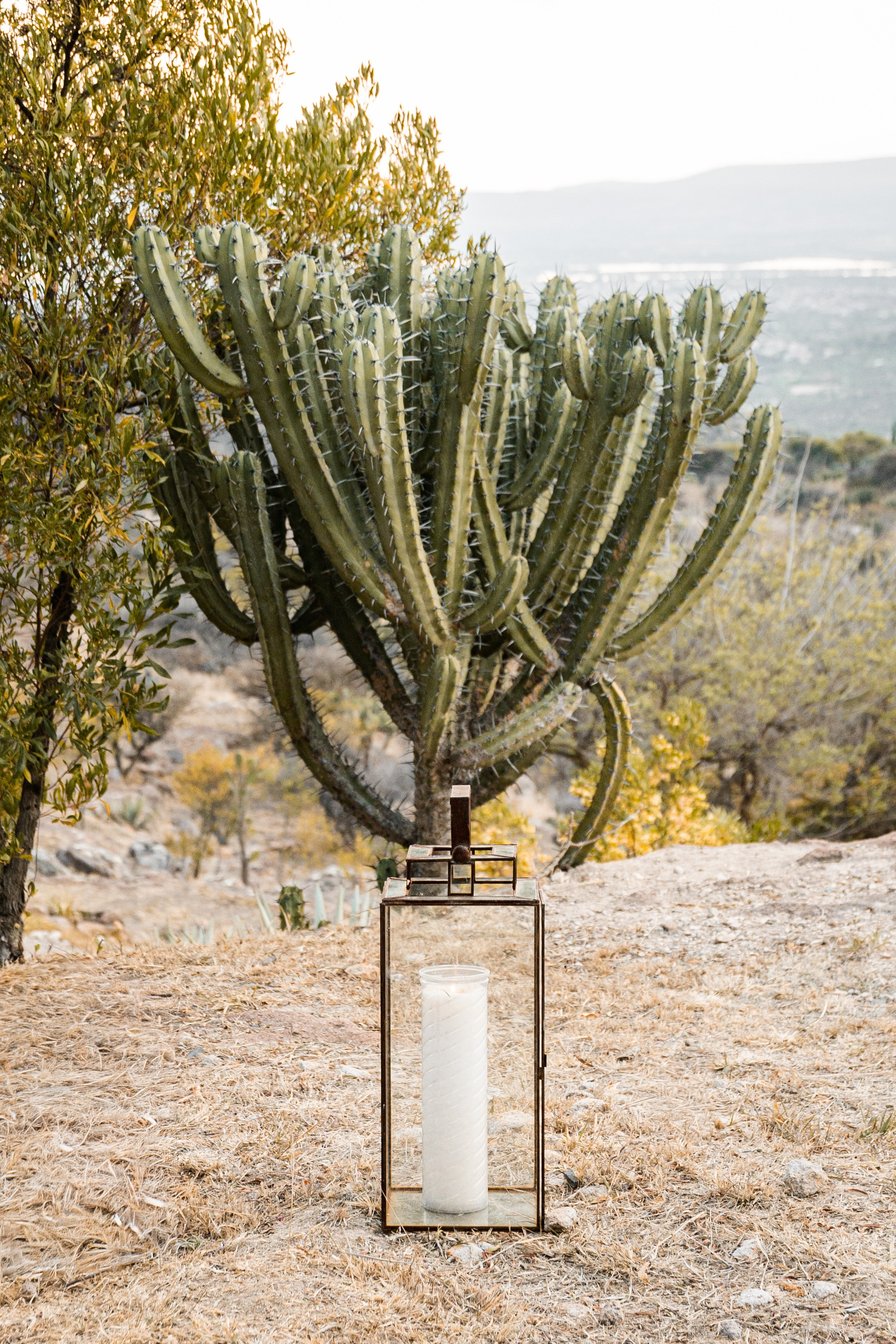 Shayne & Max. Saúl Vázquez | Destination Wedding Photographer