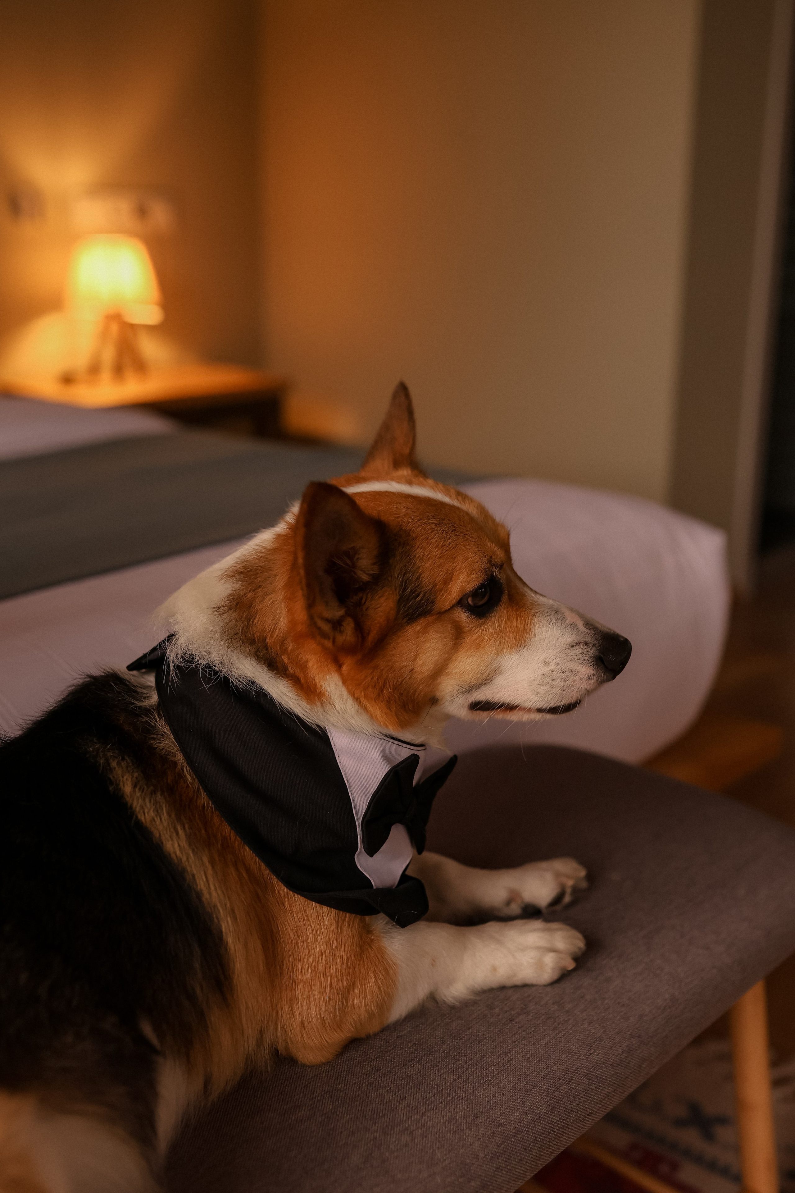 Our best friends. Свадебный, семейный и детский фотограф в Беларуси и за ее пределами