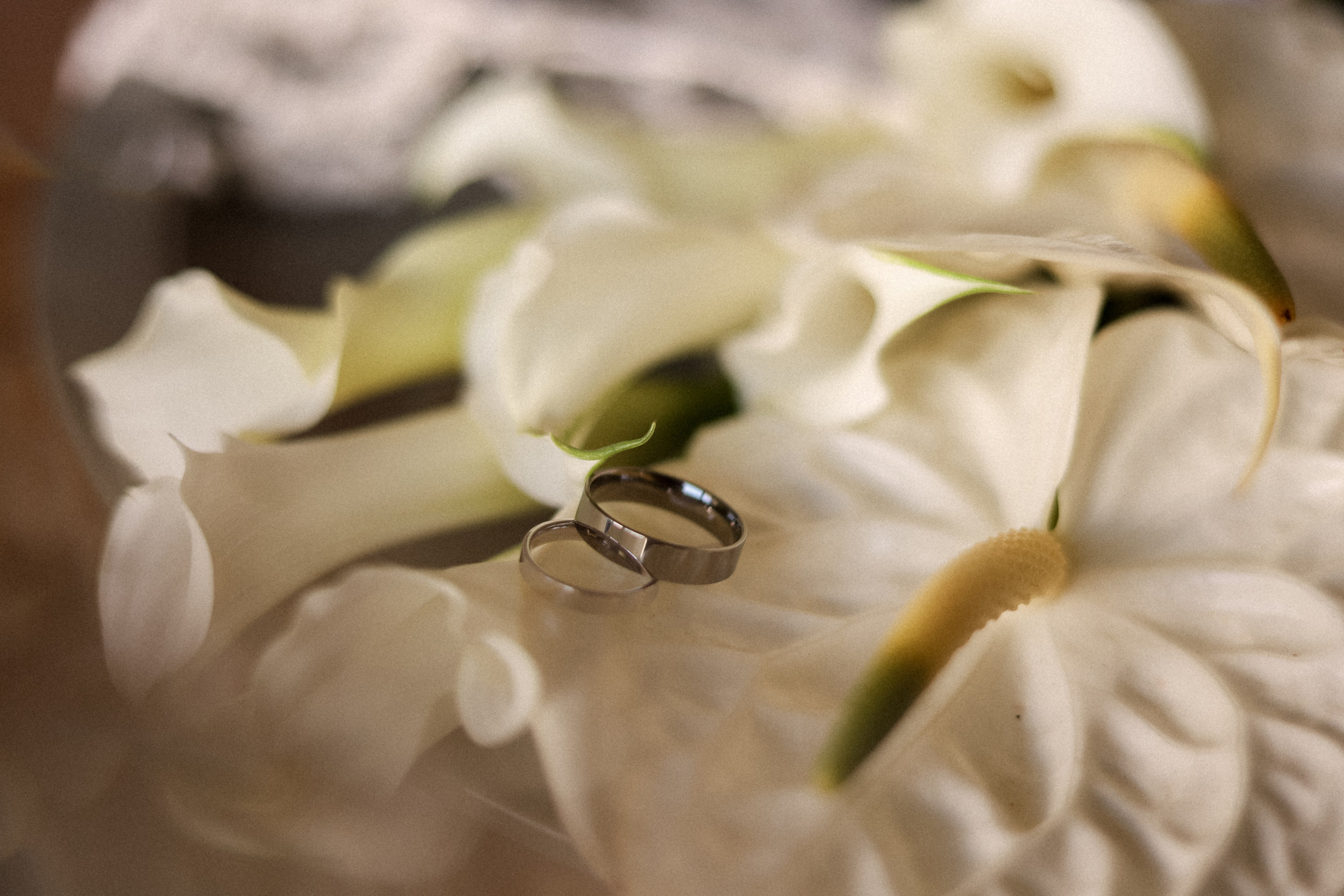 Wedding in the mountains. Свадебный, семейный и детский фотограф в Беларуси и за ее пределами