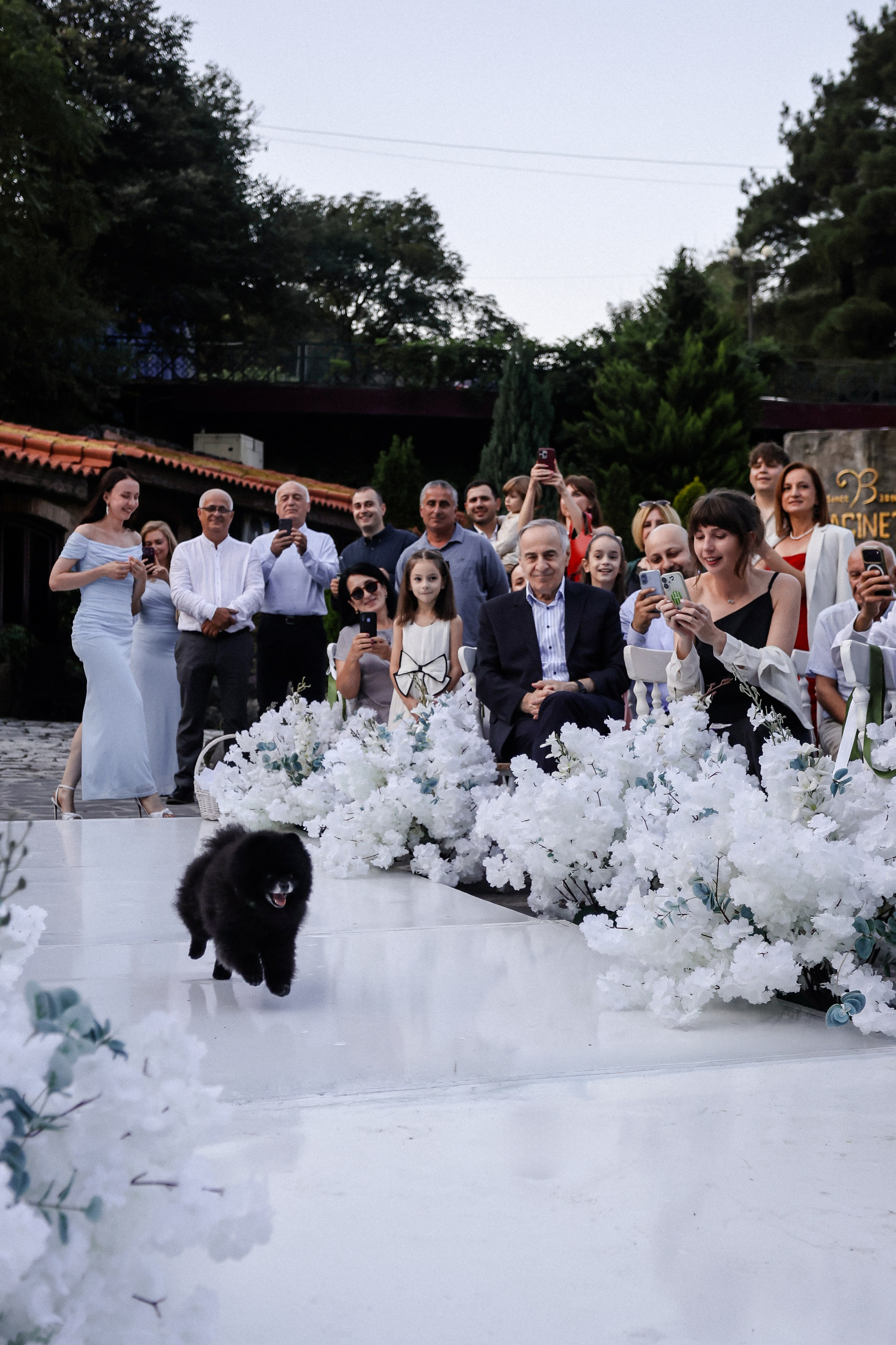 Wedding in Mcheta. Свадебный, семейный и детский фотограф в Беларуси и за ее пределами