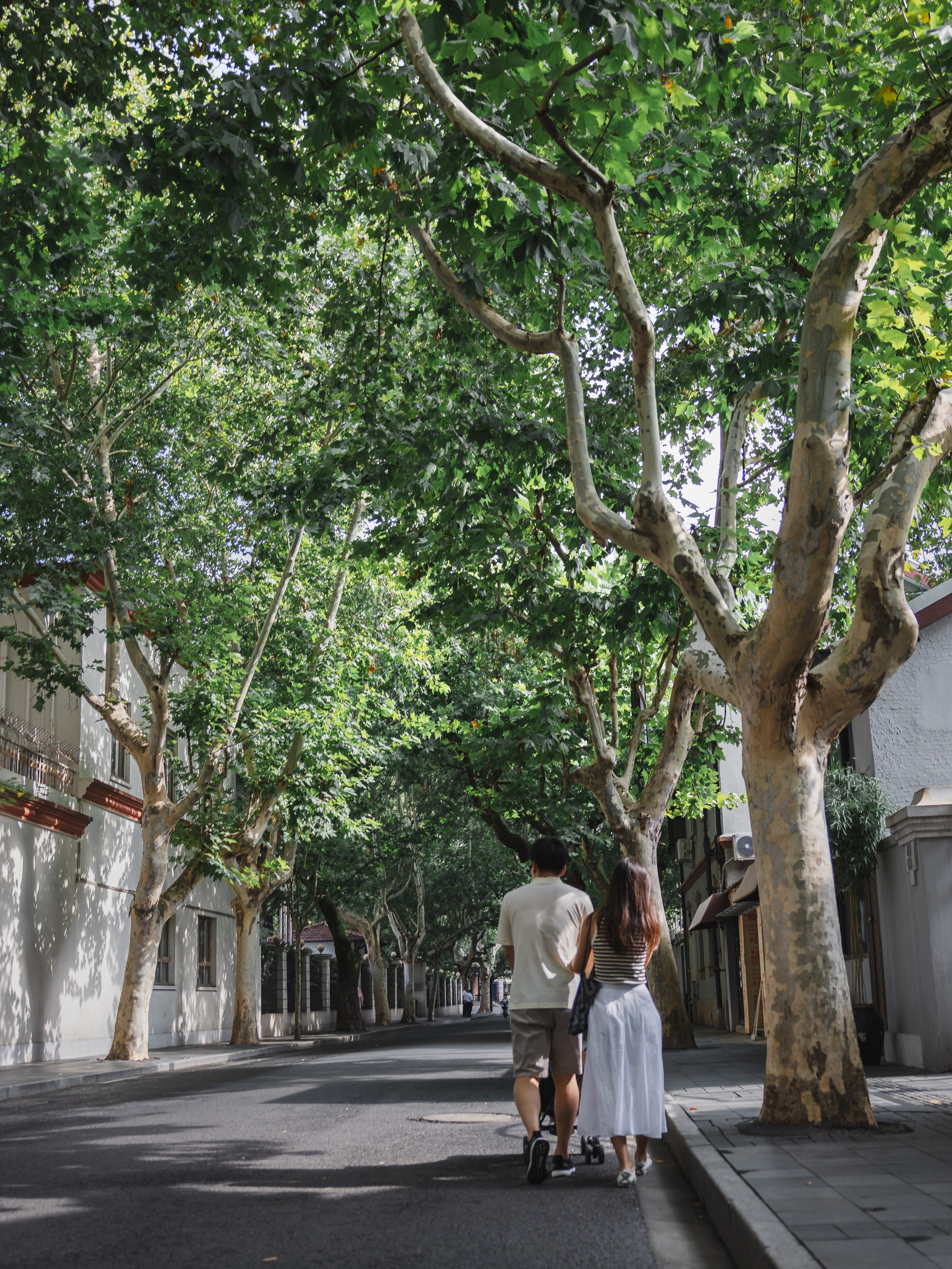 Family photograph in Shanghai. Shanghai Family Photographer Dora