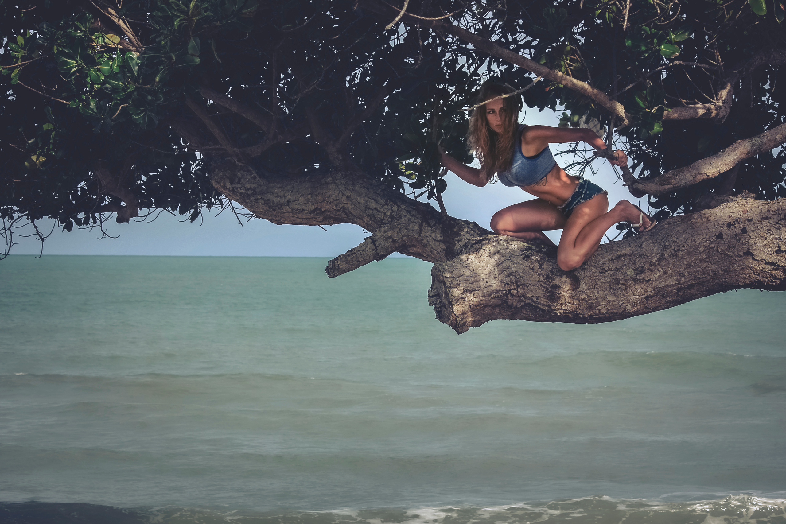 Professional Photographer, Jacksonville FL — Alice Nabieva