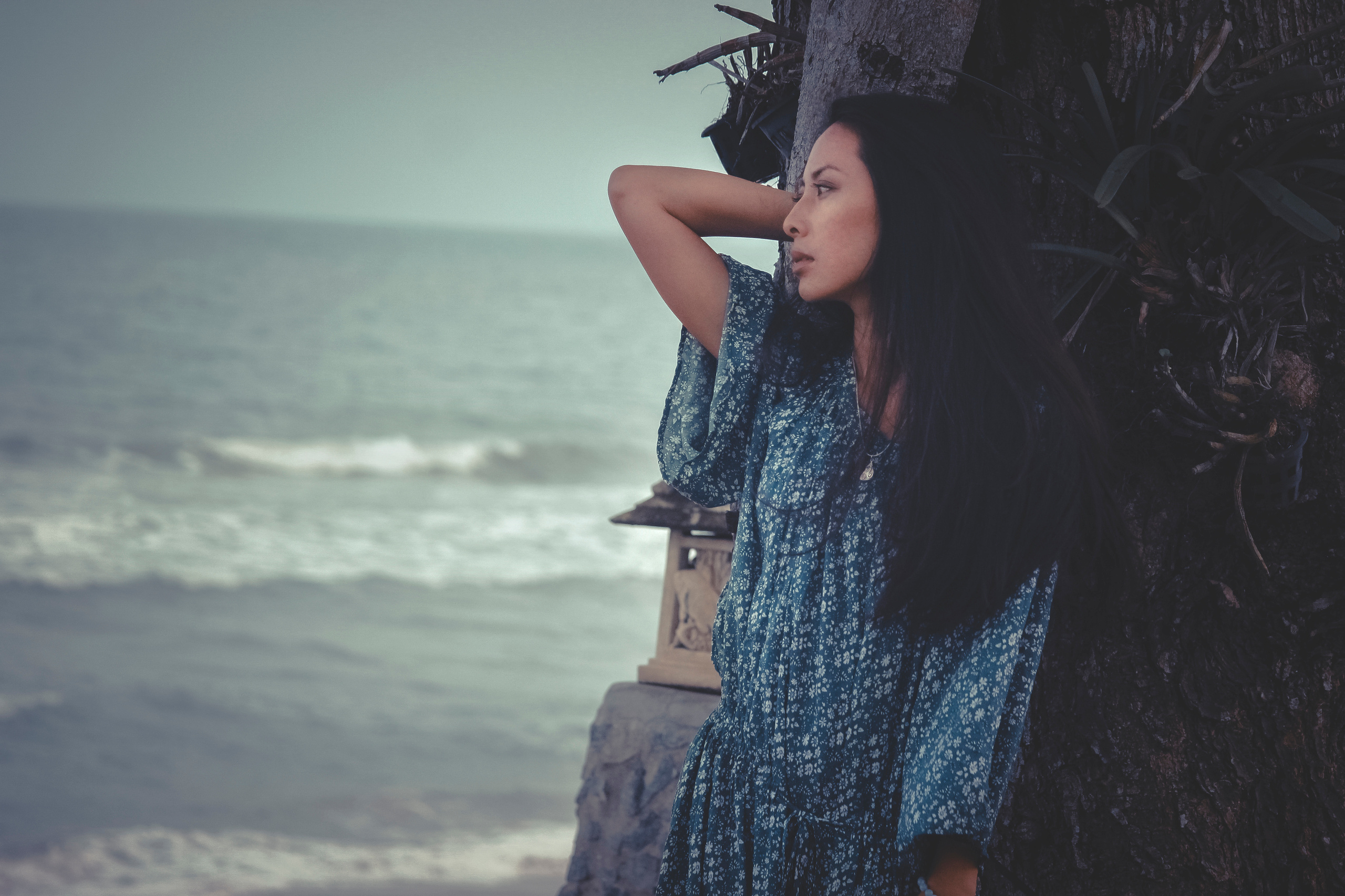 Professional Photographer, Jacksonville FL — Alice Nabieva