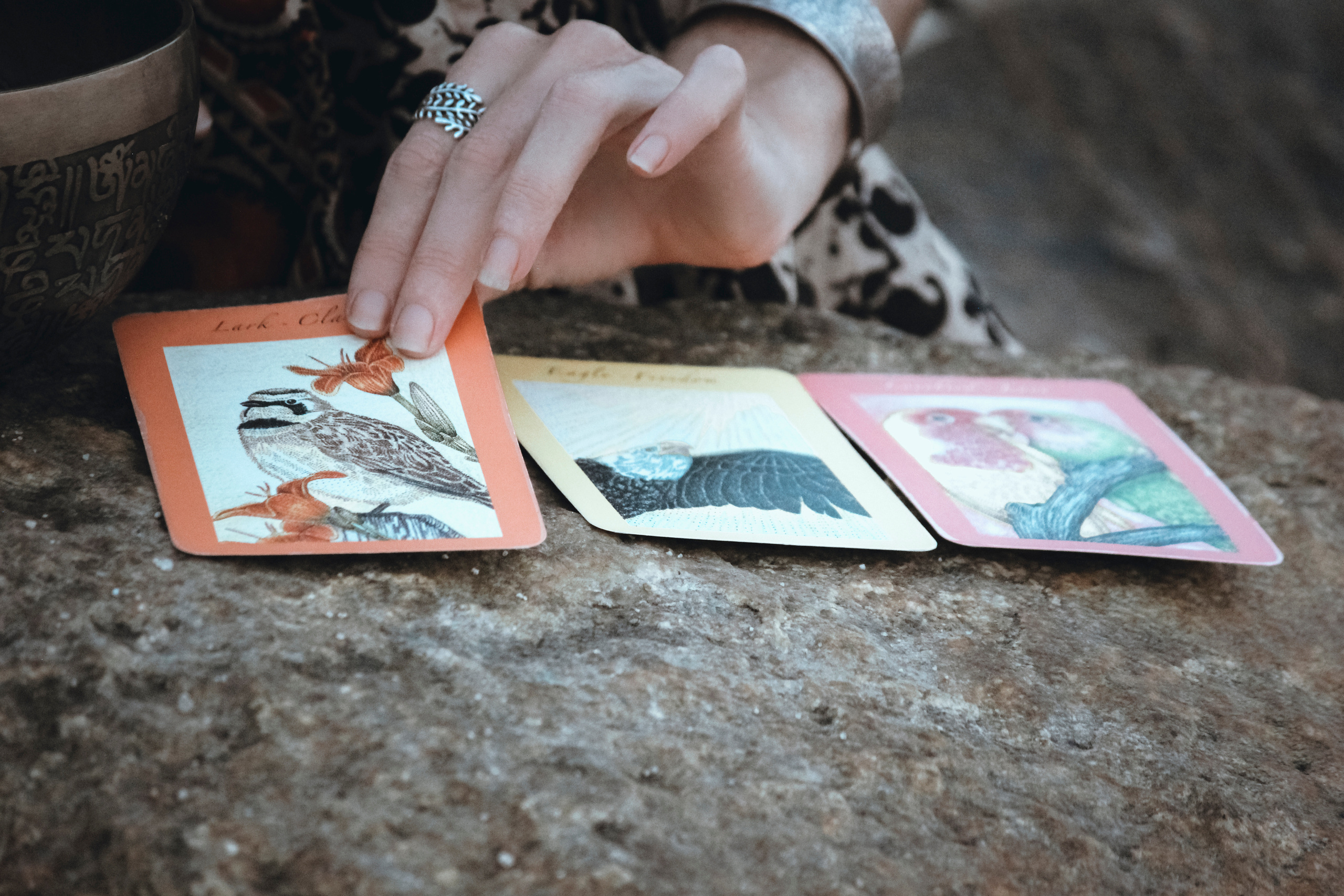 Professional Photographer, Jacksonville FL — Alice Nabieva