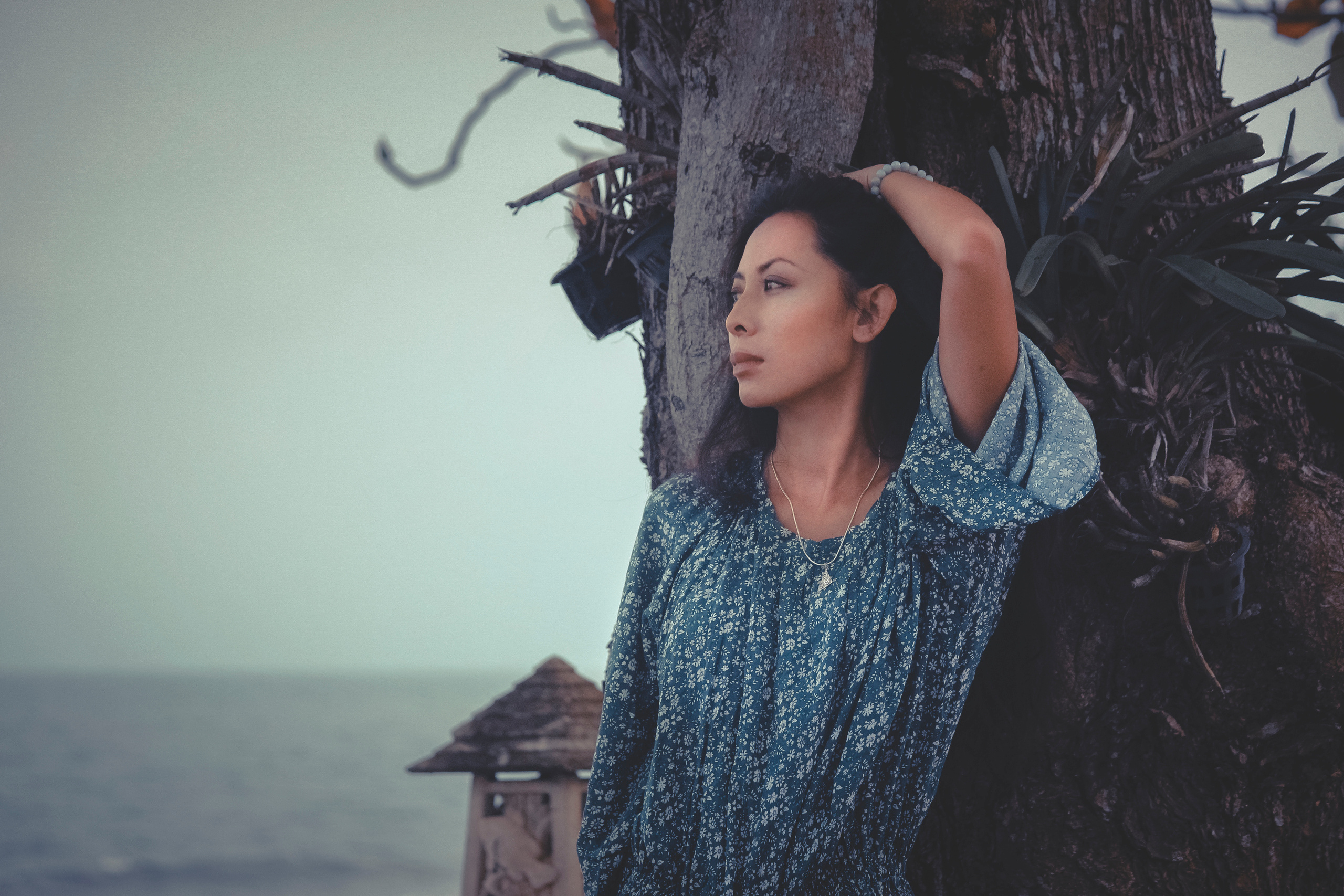 Professional Photographer, Jacksonville FL — Alice Nabieva