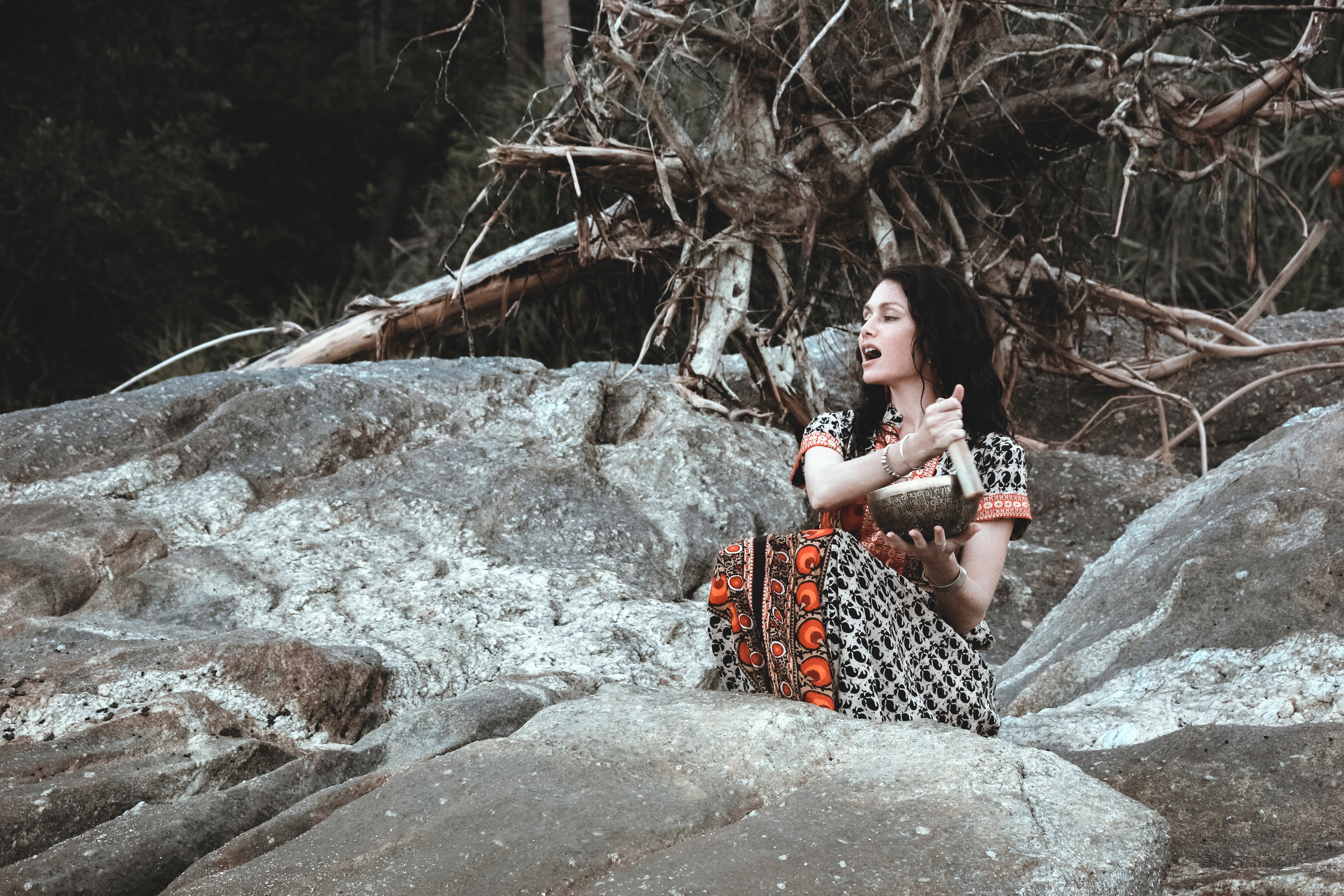 Professional Photographer, Jacksonville FL — Alice Nabieva