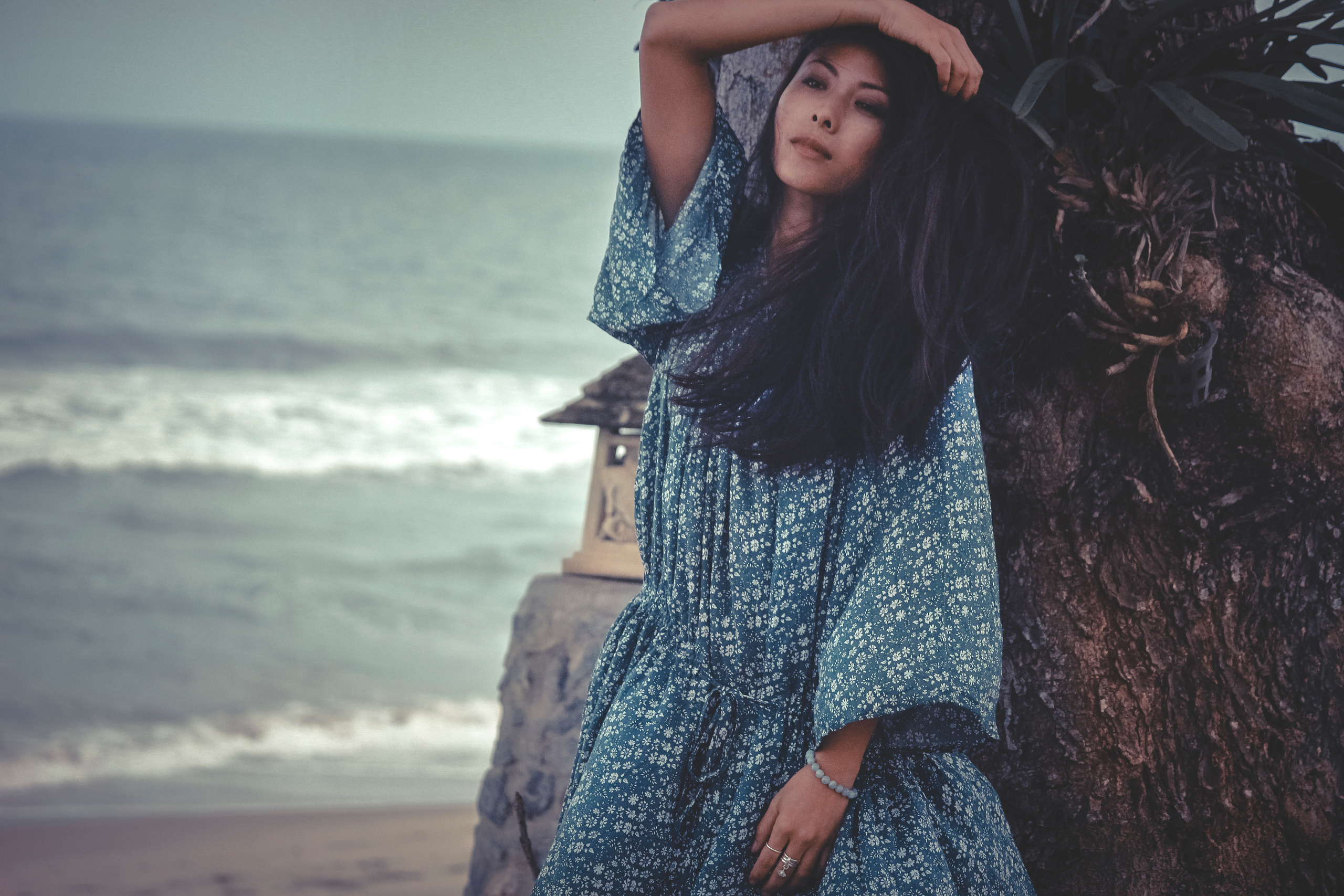 Professional Photographer, Jacksonville FL — Alice Nabieva