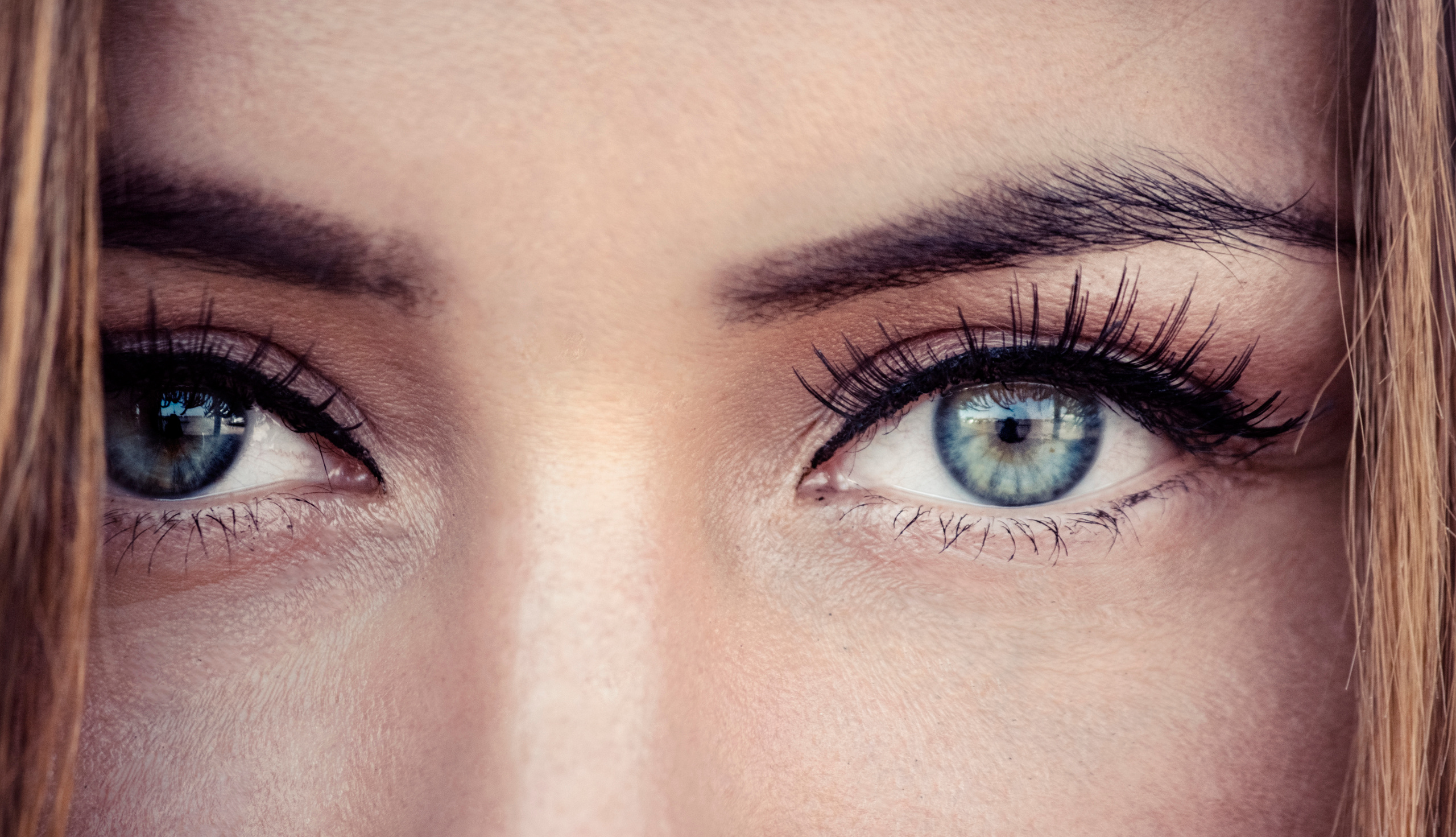 Professional Photographer, Jacksonville FL — Alice Nabieva