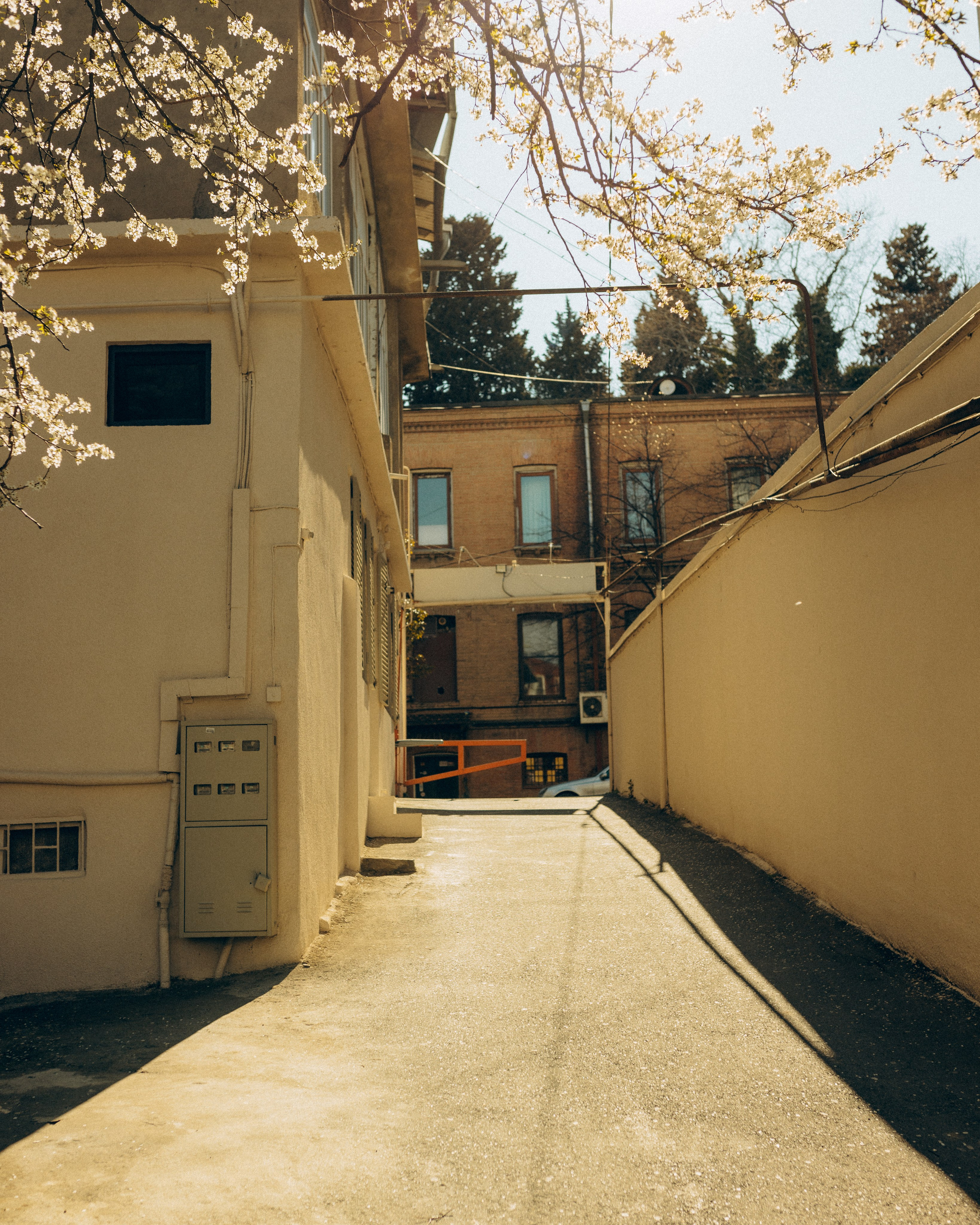 Presets. Mari tbilisi photographer Tbilisi Georgia