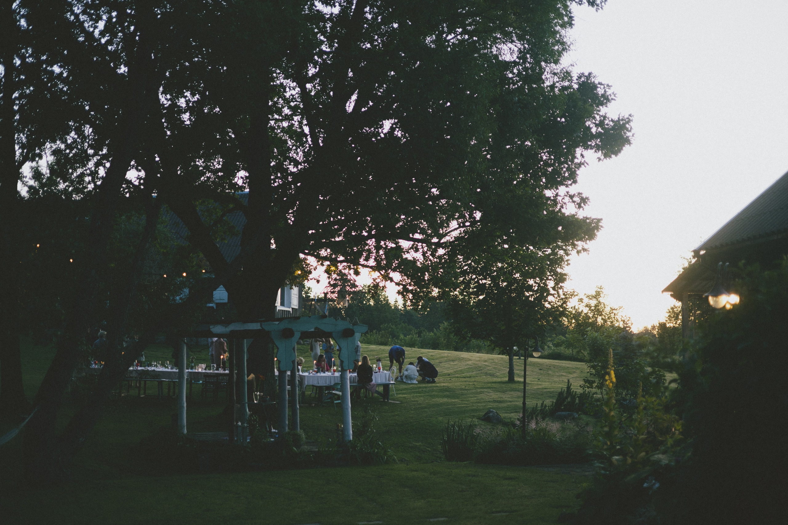 Vasara sode. Портретный фотограф Александра Самозванова