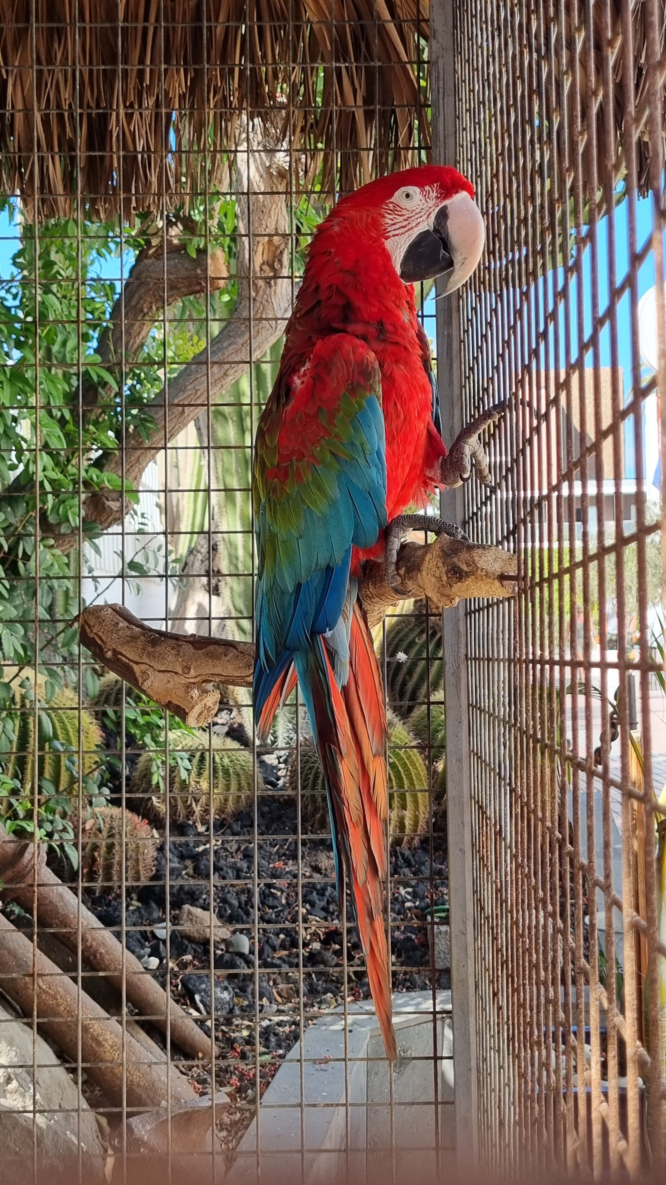 Gran Canaria 2024. Марина фотограф из Нюрнберга