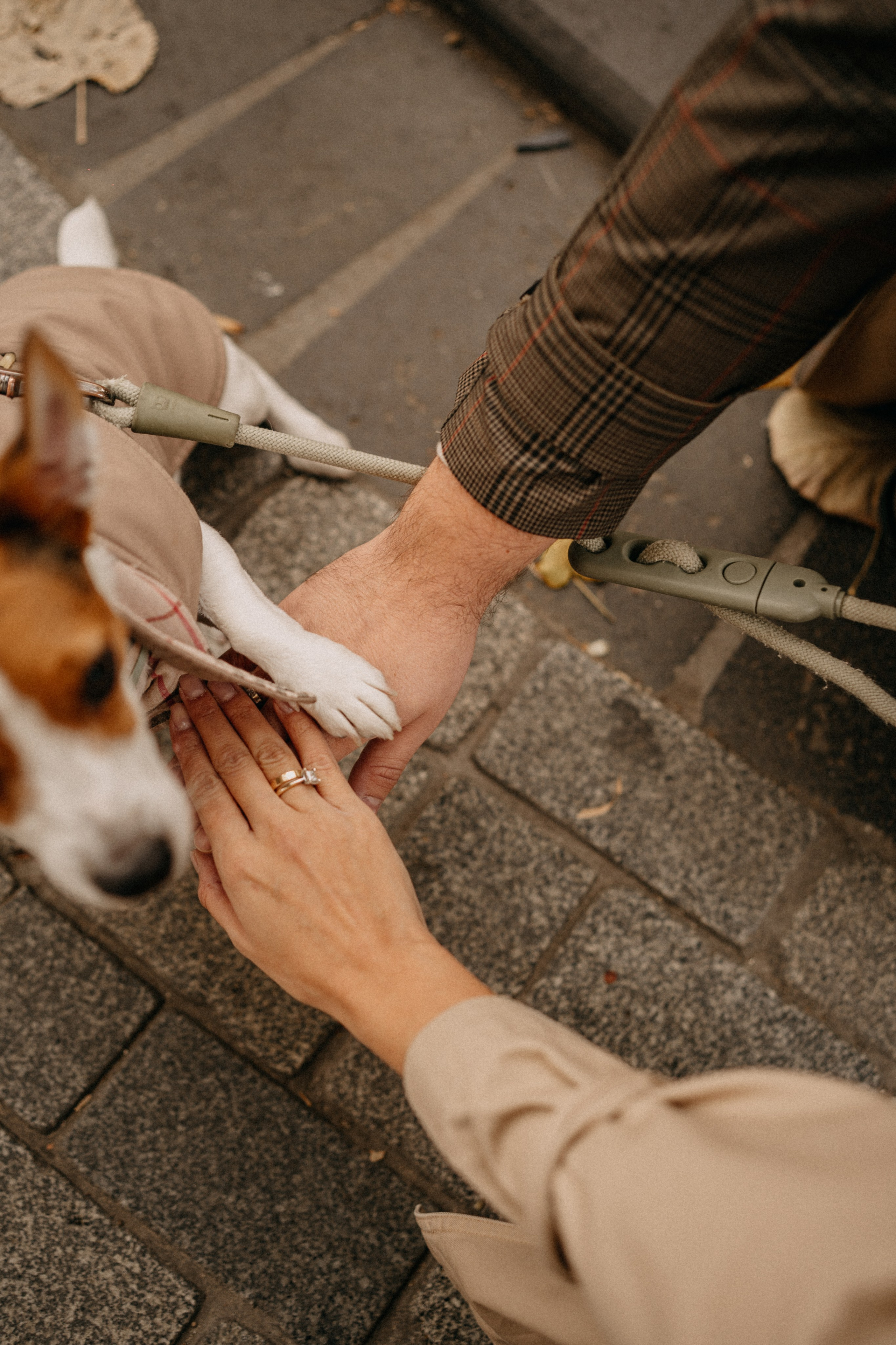 Зу & Саша. Фотограф Москва Ларина Юлия