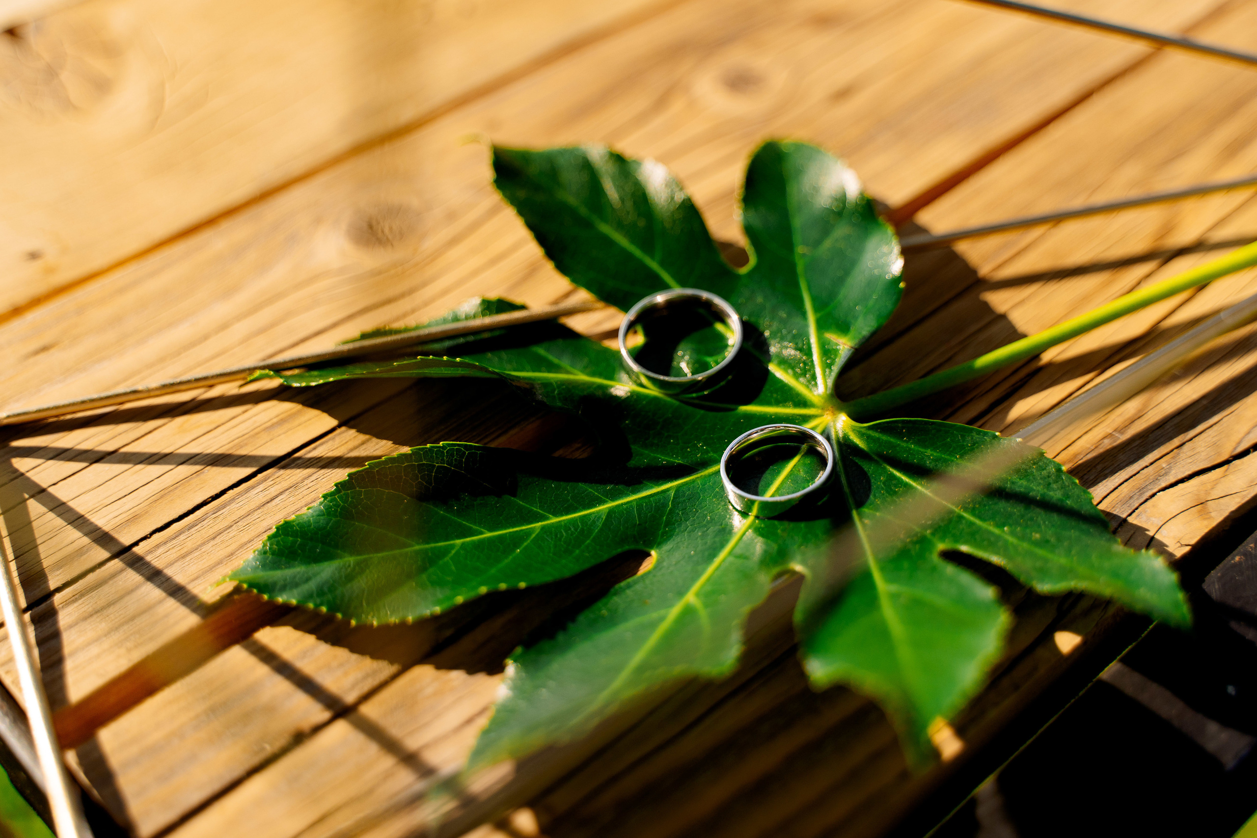 Инеса и Виталий. Макар Кириков — свадебный и семейный фотограф Даугавпилс, Рига, Вильну