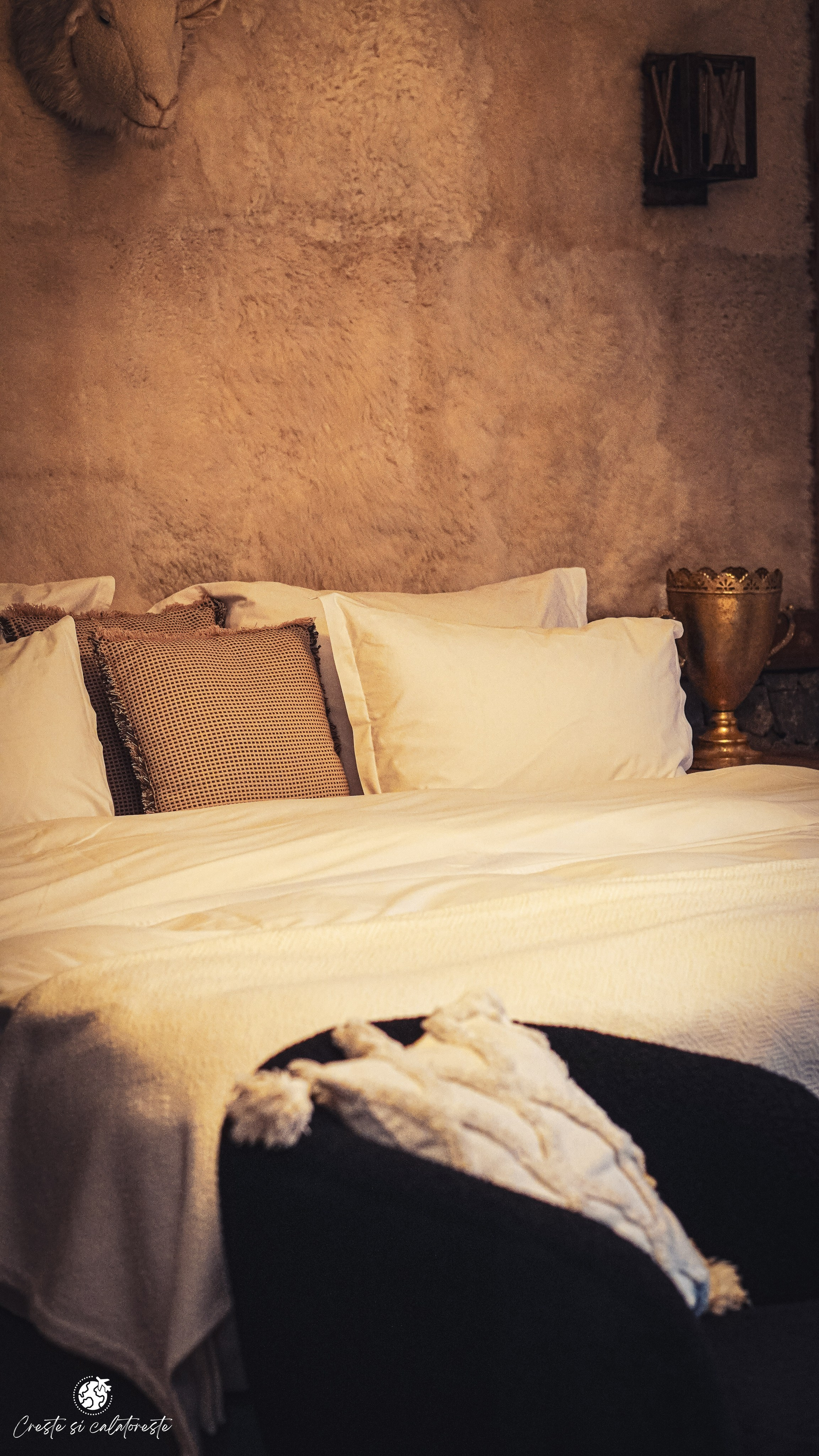 Bransilvania. Creste si calatoreste