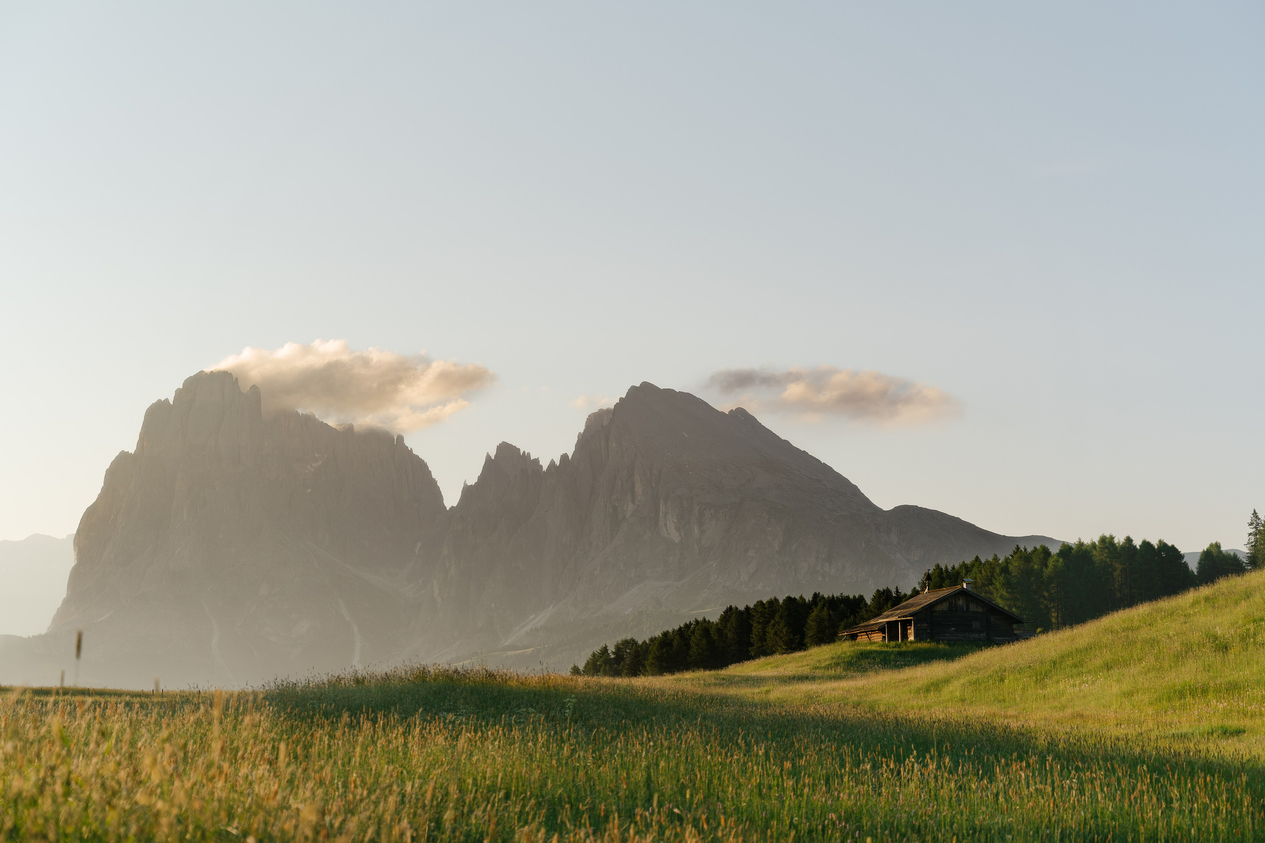 S & S (Alpe di Siusi, Dolomites, Italy). Marriage Proposal Photographer in Verona, Lake Garda and Dolomites| Diana Fedrigo