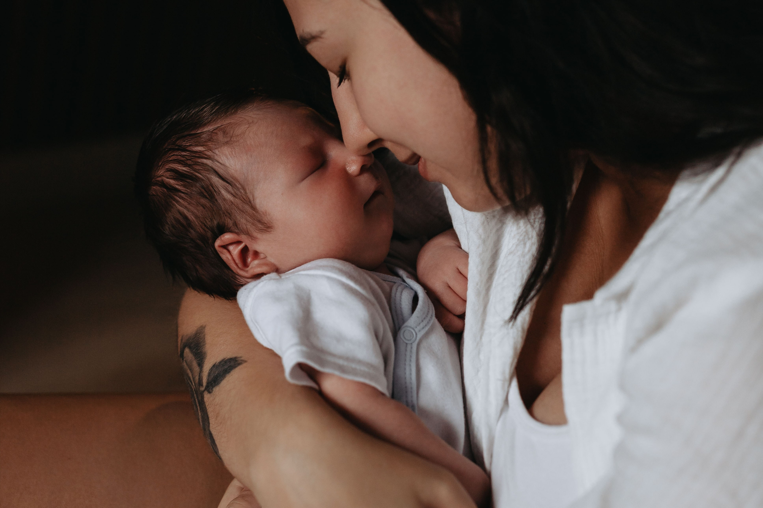 Pierwsza sesja Franka