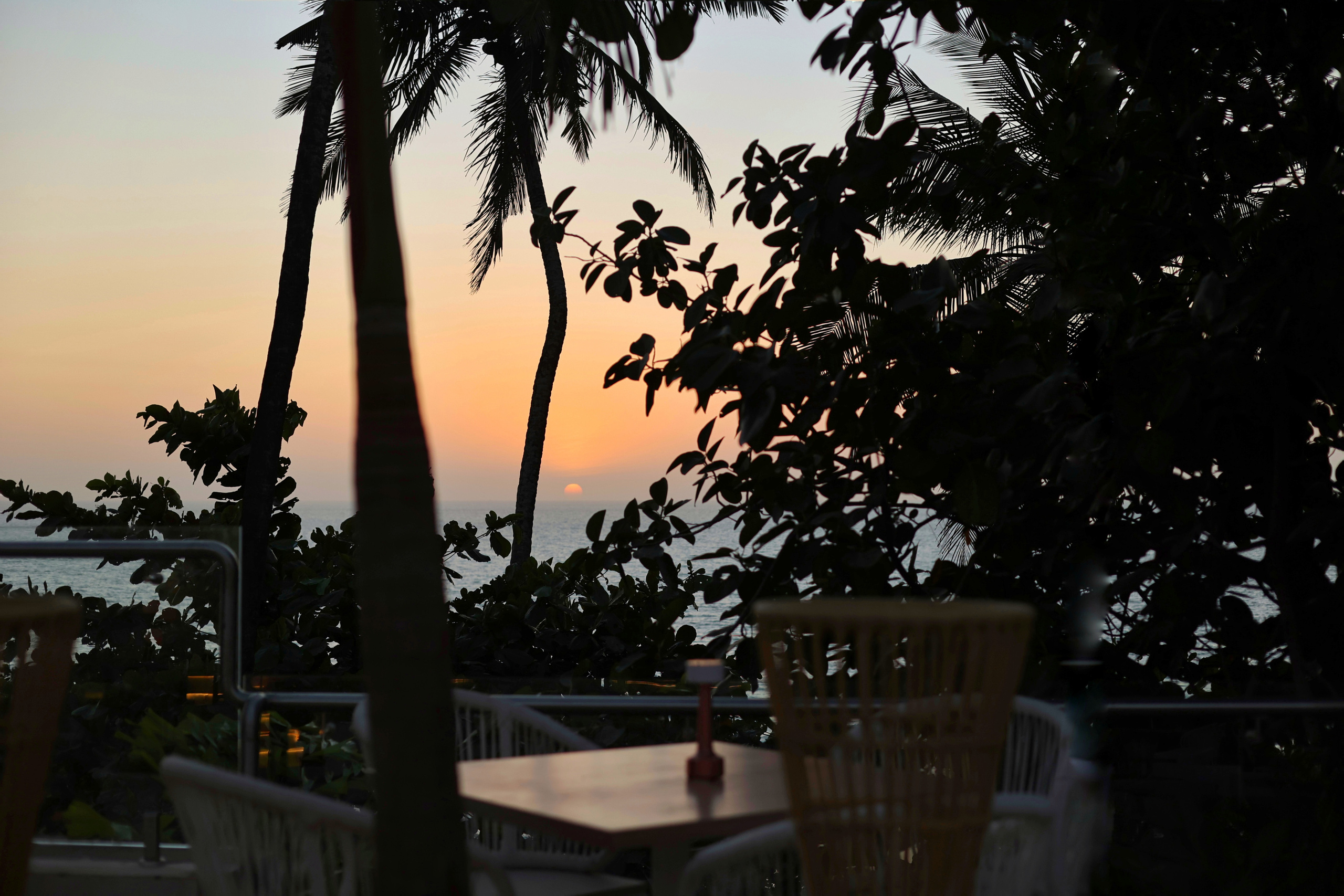 PROPERTY. International Photographer