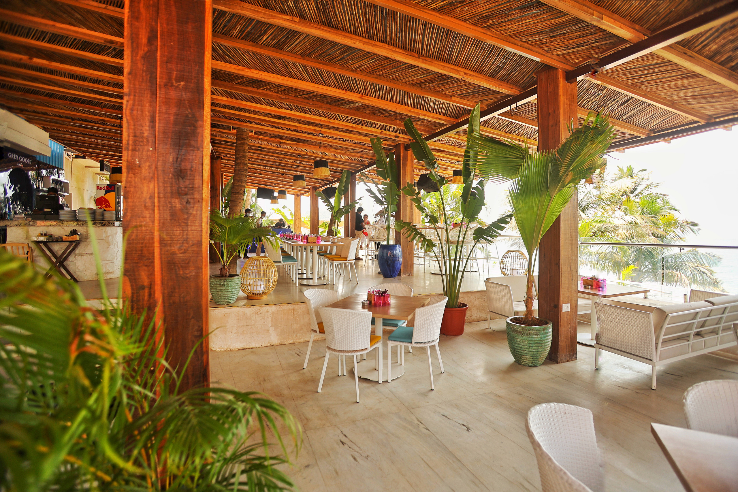 PROPERTY. International Photographer