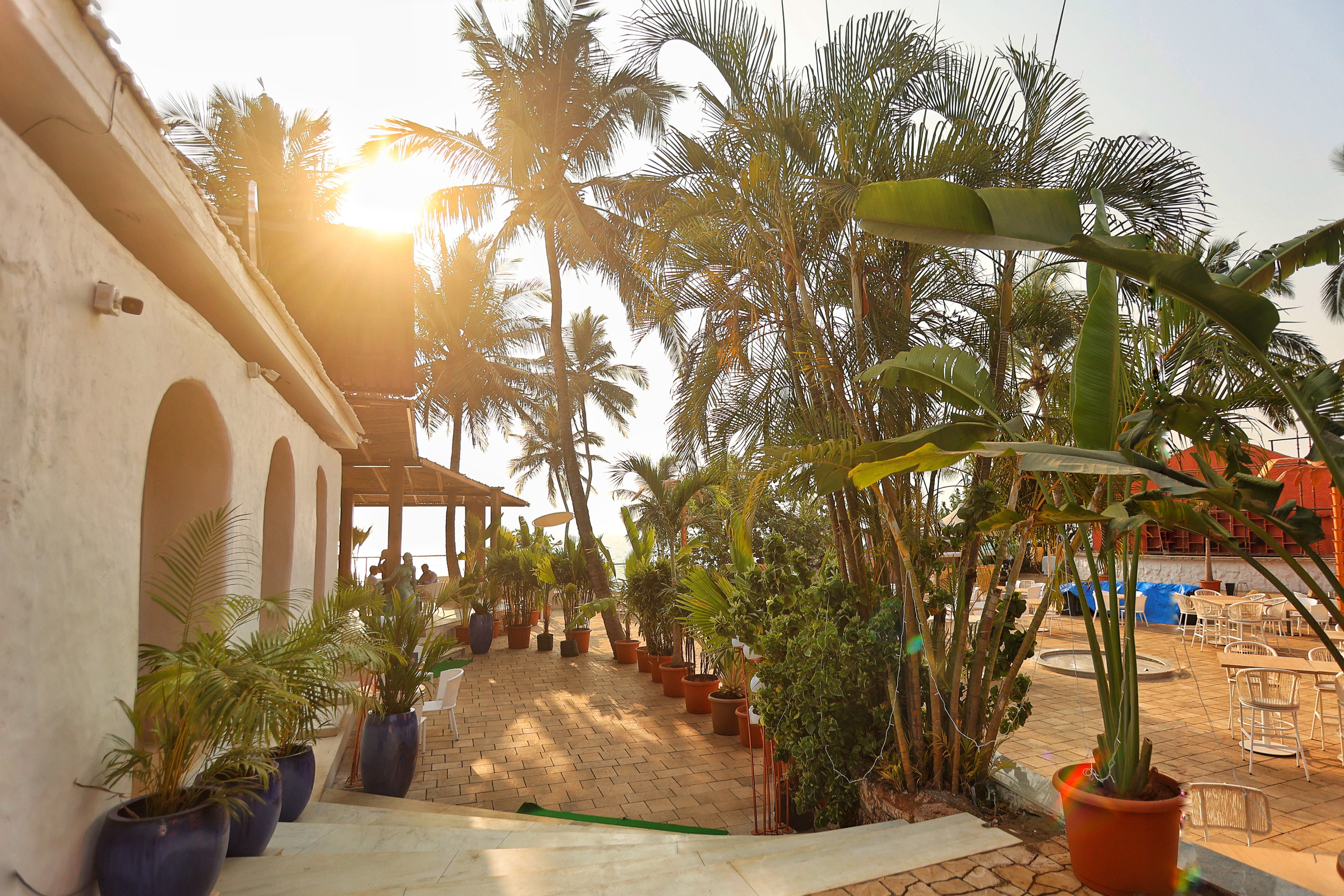 PROPERTY. International Photographer