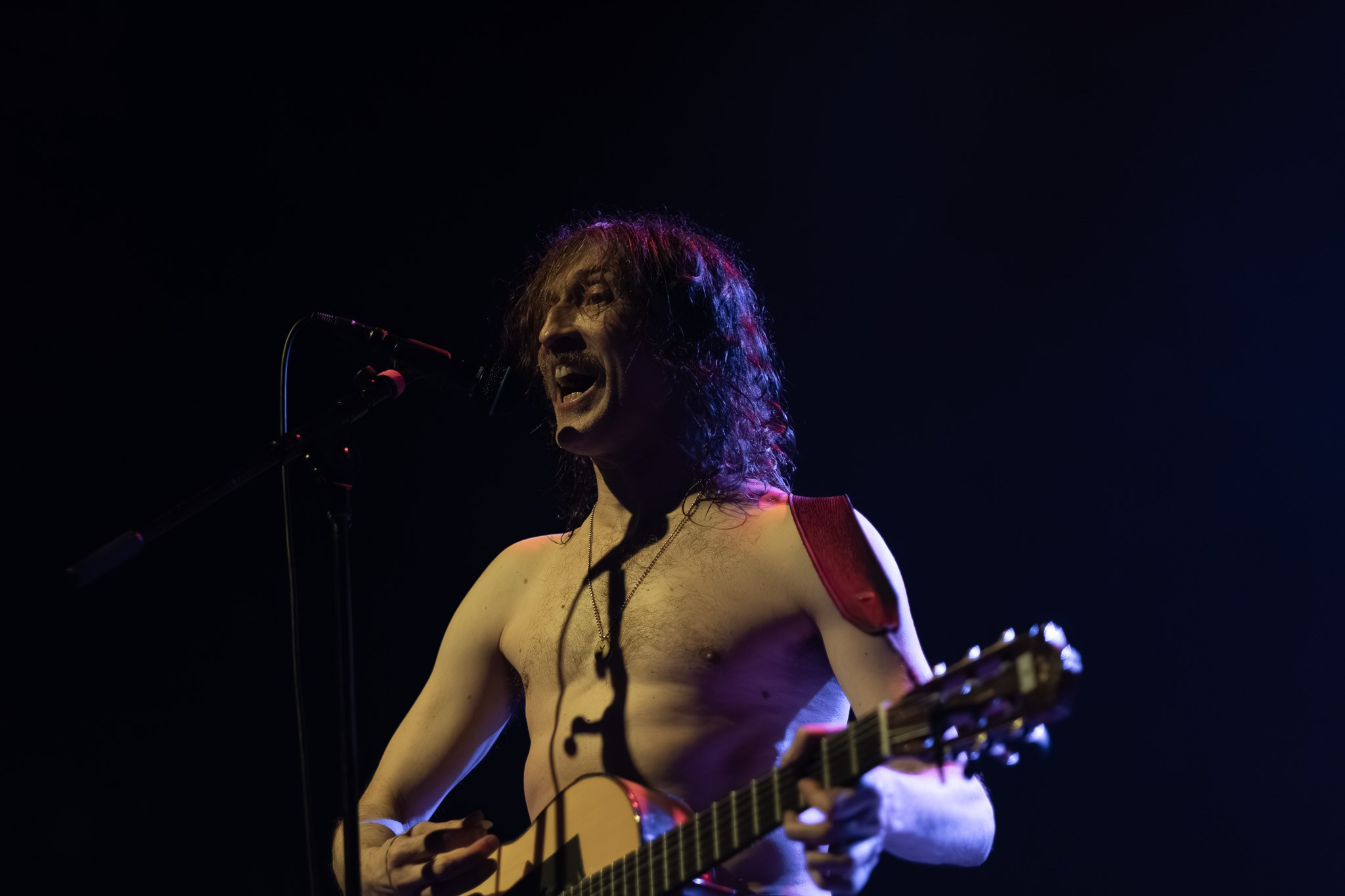 GOGOL BORDELLO / 2026. Reportage concert portrait photography in the San Francisco Bay Area