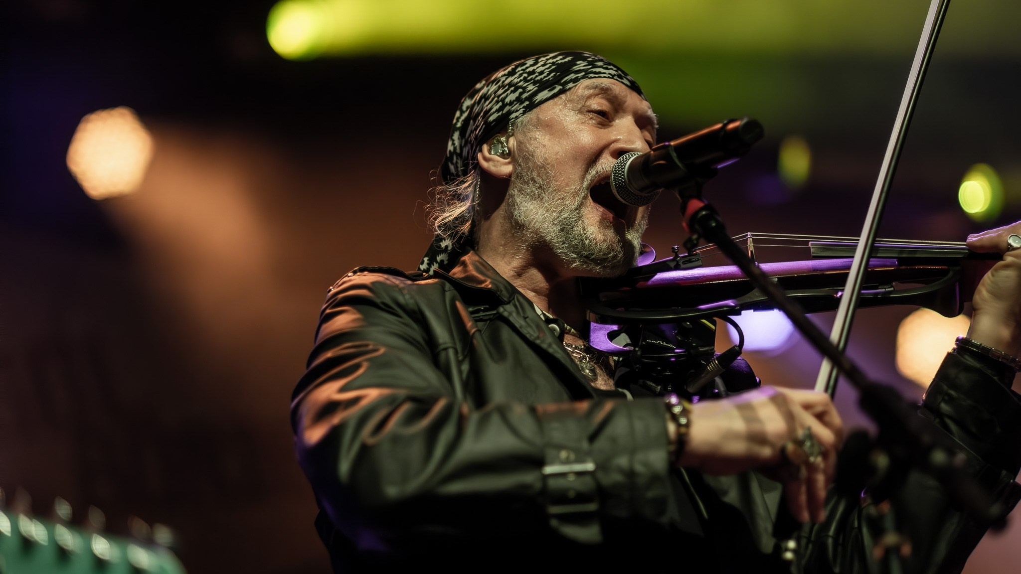GOGOL BORDELLO / 2026. Reportage concert portrait photography in the San Francisco Bay Area