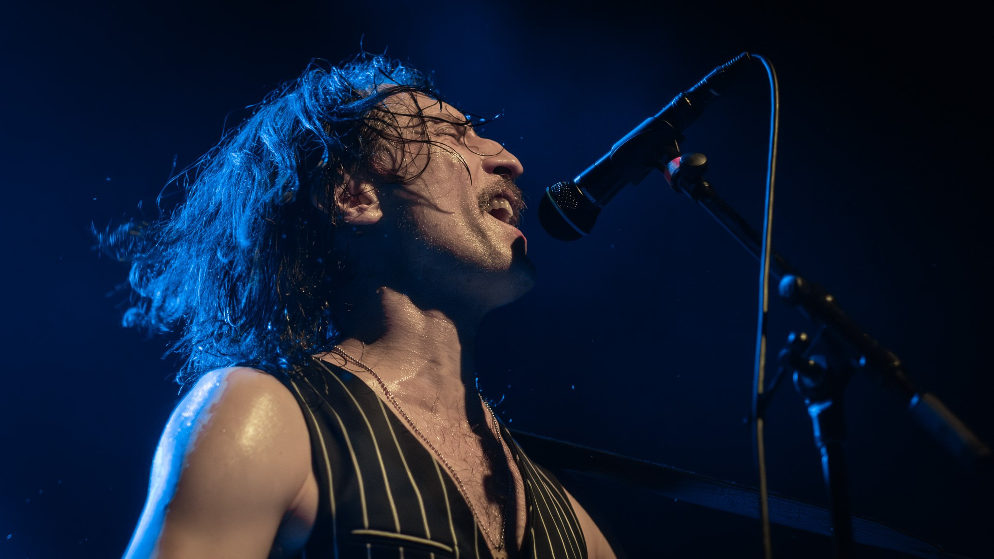 GOGOL BORDELLO / 2026. Reportage concert portrait photography in the San Francisco Bay Area
