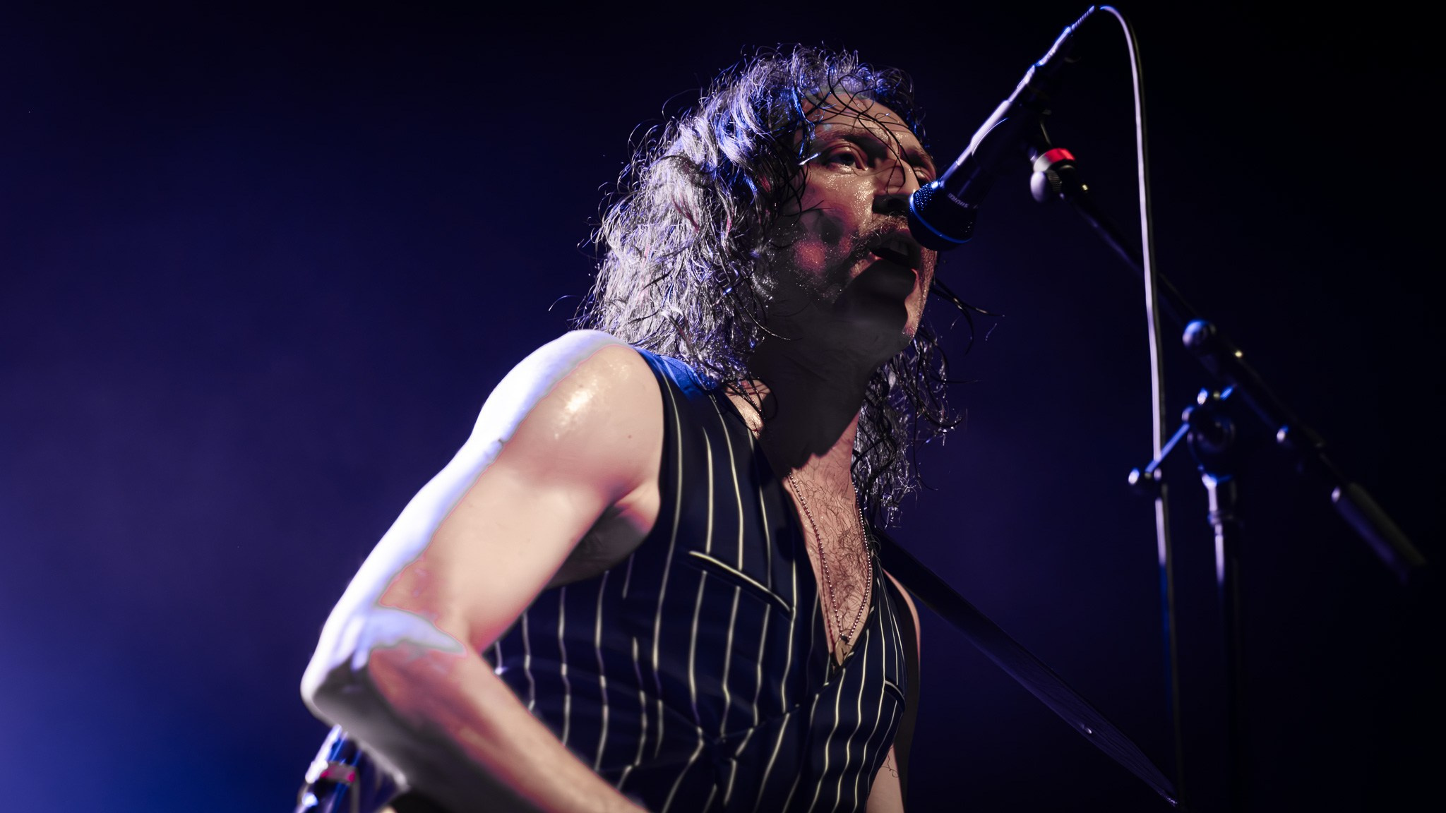 GOGOL BORDELLO / 2026. Reportage concert portrait photography in the San Francisco Bay Area