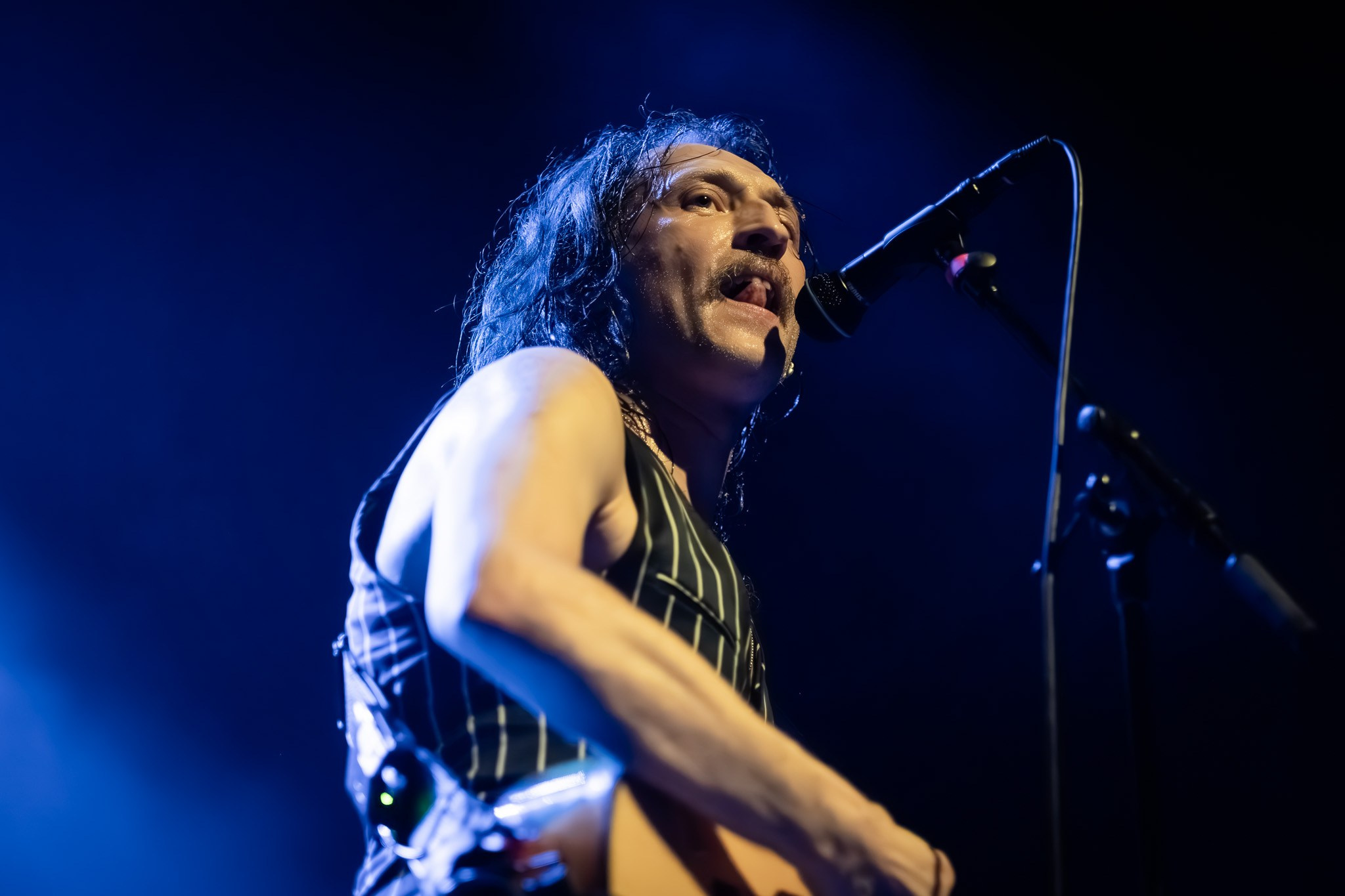 GOGOL BORDELLO / 2026. Reportage concert portrait photography in the San Francisco Bay Area