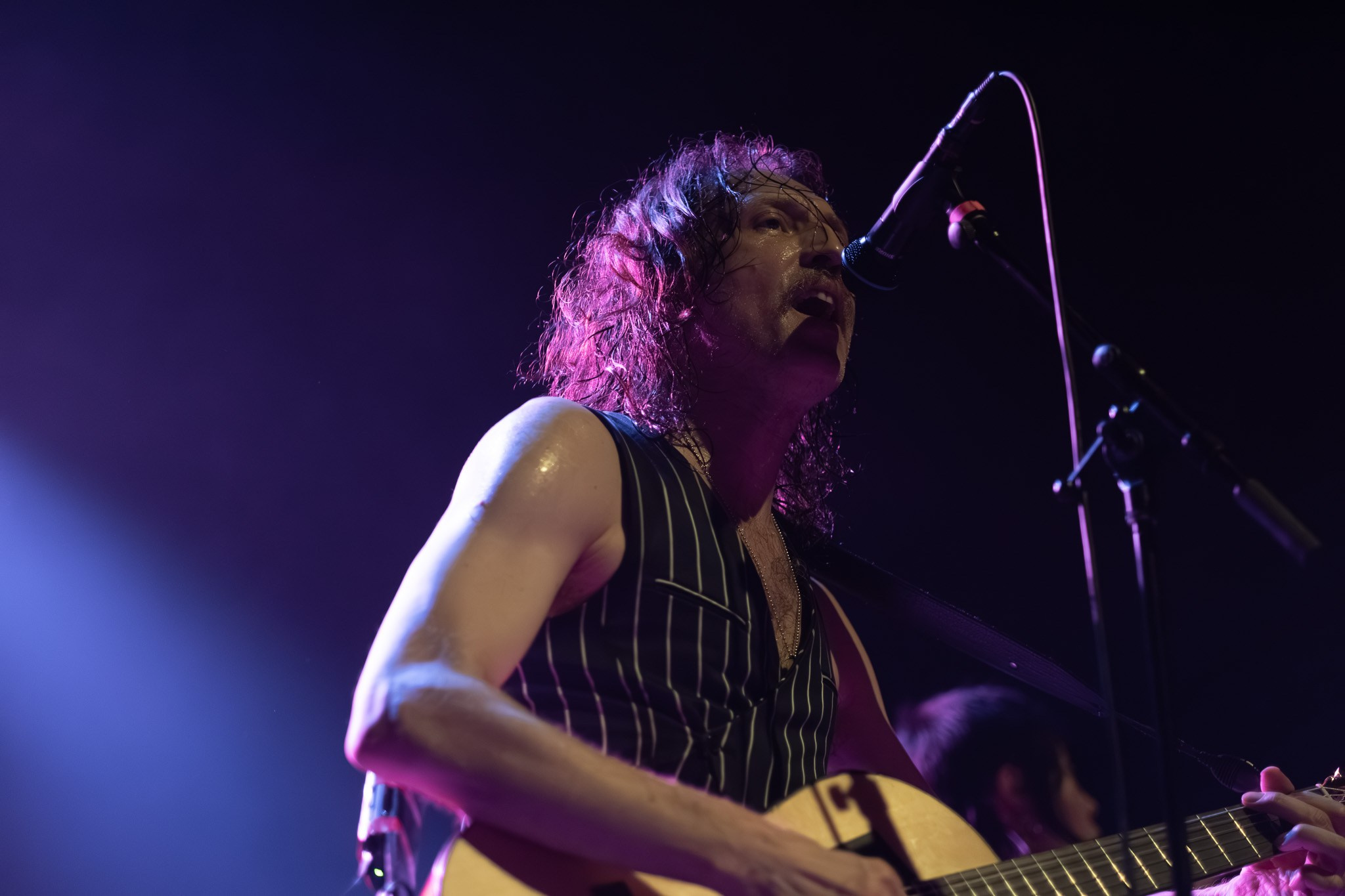 GOGOL BORDELLO / 2026. Reportage concert portrait photography in the San Francisco Bay Area