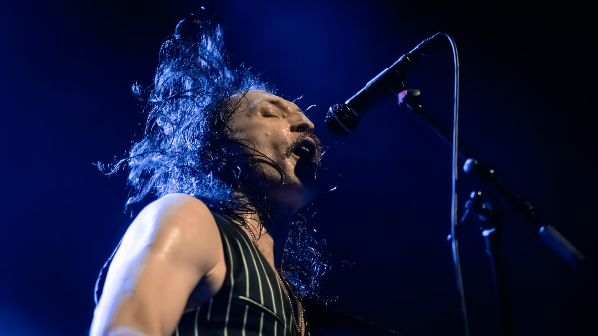 GOGOL BORDELLO / 2026. Reportage concert portrait photography in the San Francisco Bay Area