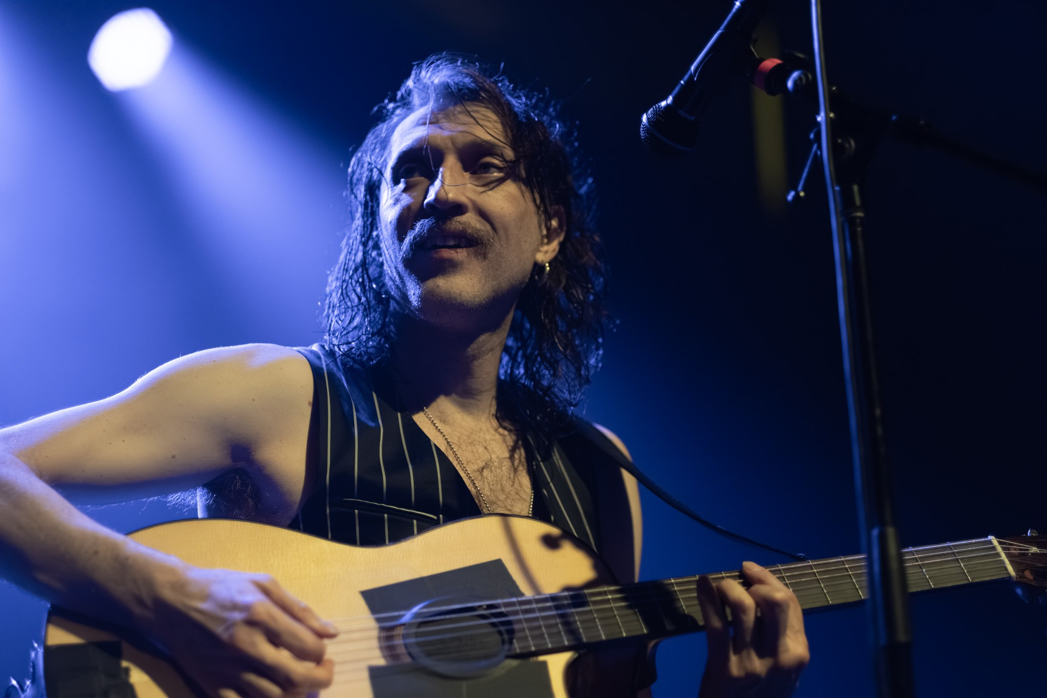 GOGOL BORDELLO / 2026. Reportage concert portrait photography in the San Francisco Bay Area