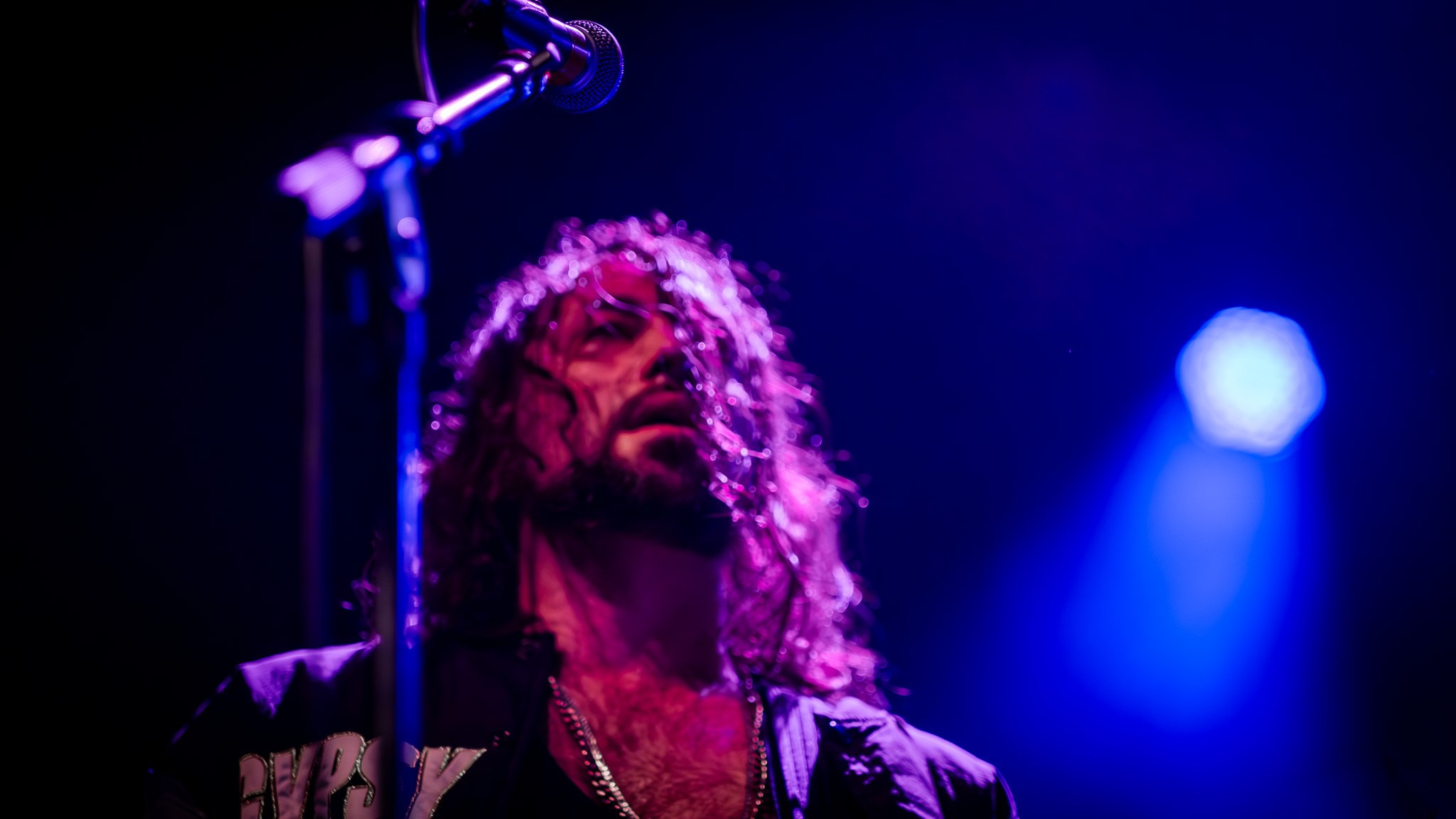 GOGOL BORDELLO / 2026. Reportage concert portrait photography in the San Francisco Bay Area