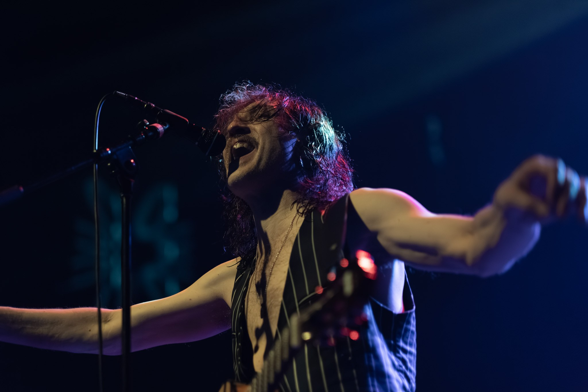 GOGOL BORDELLO / 2026. Reportage concert portrait photography in the San Francisco Bay Area