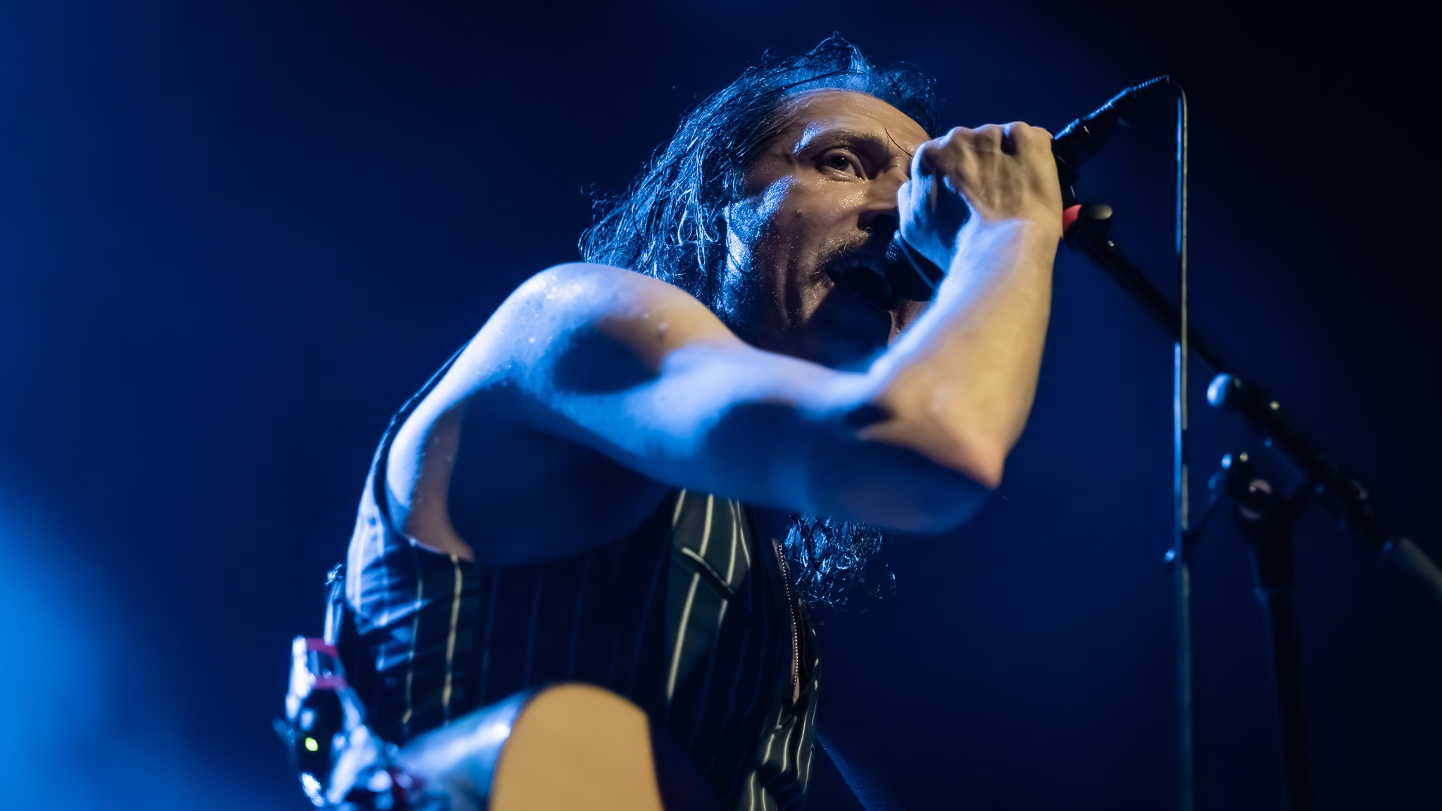 GOGOL BORDELLO / 2026. Reportage concert portrait photography in the San Francisco Bay Area