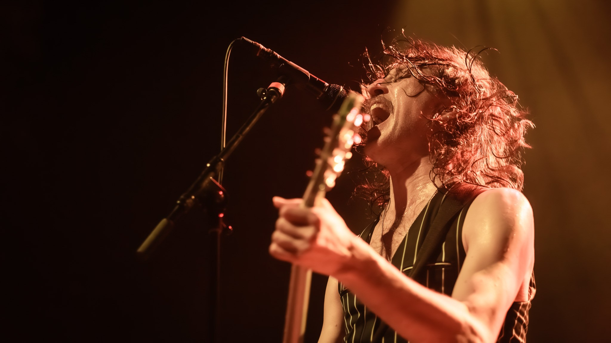 GOGOL BORDELLO / 2026. Reportage concert portrait photography in the San Francisco Bay Area