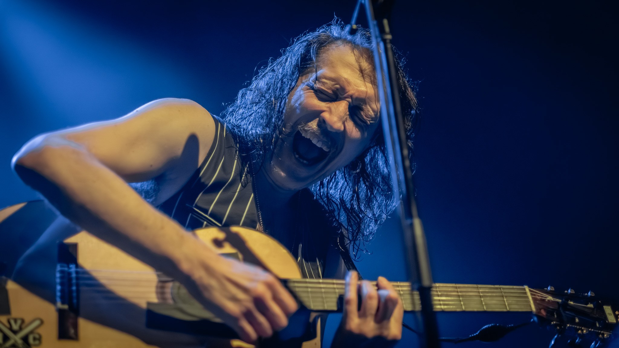 GOGOL BORDELLO / 2026. Reportage concert portrait photography in the San Francisco Bay Area
