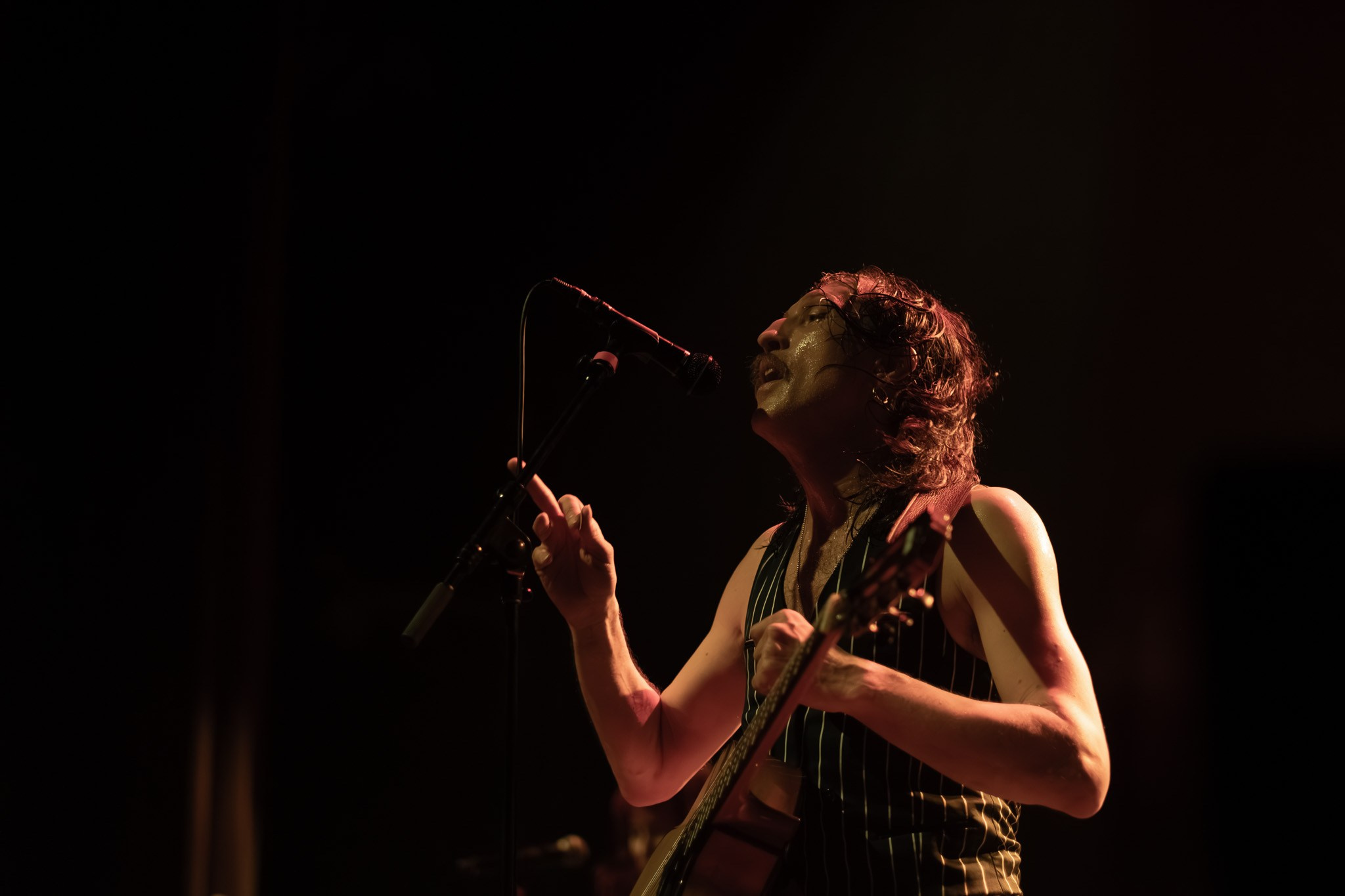 GOGOL BORDELLO / 2026. Reportage concert portrait photography in the San Francisco Bay Area